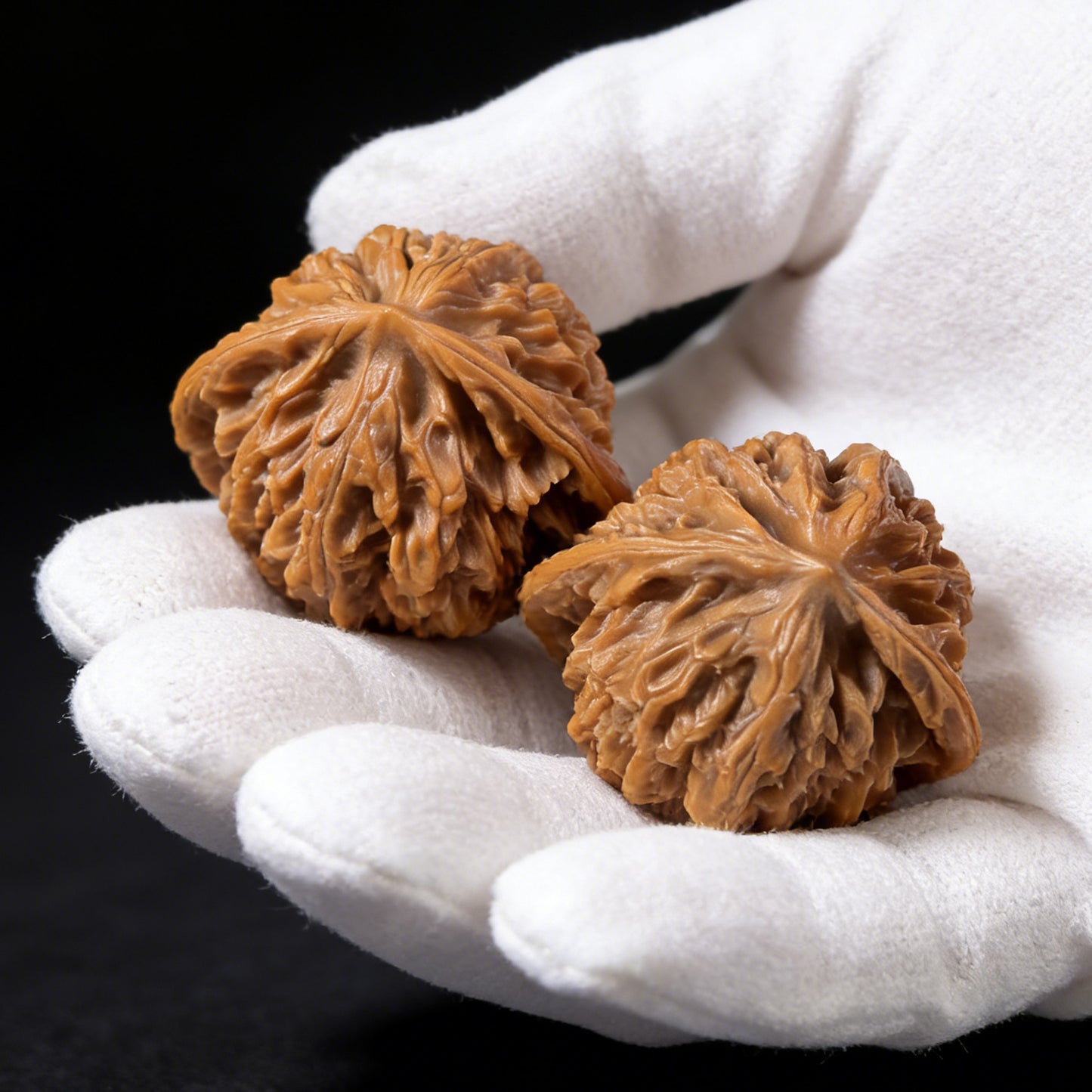 The "Coiled Dragon" (Pan Long Wen) Pair | 32.0mm x 32.0mm | PLW-01