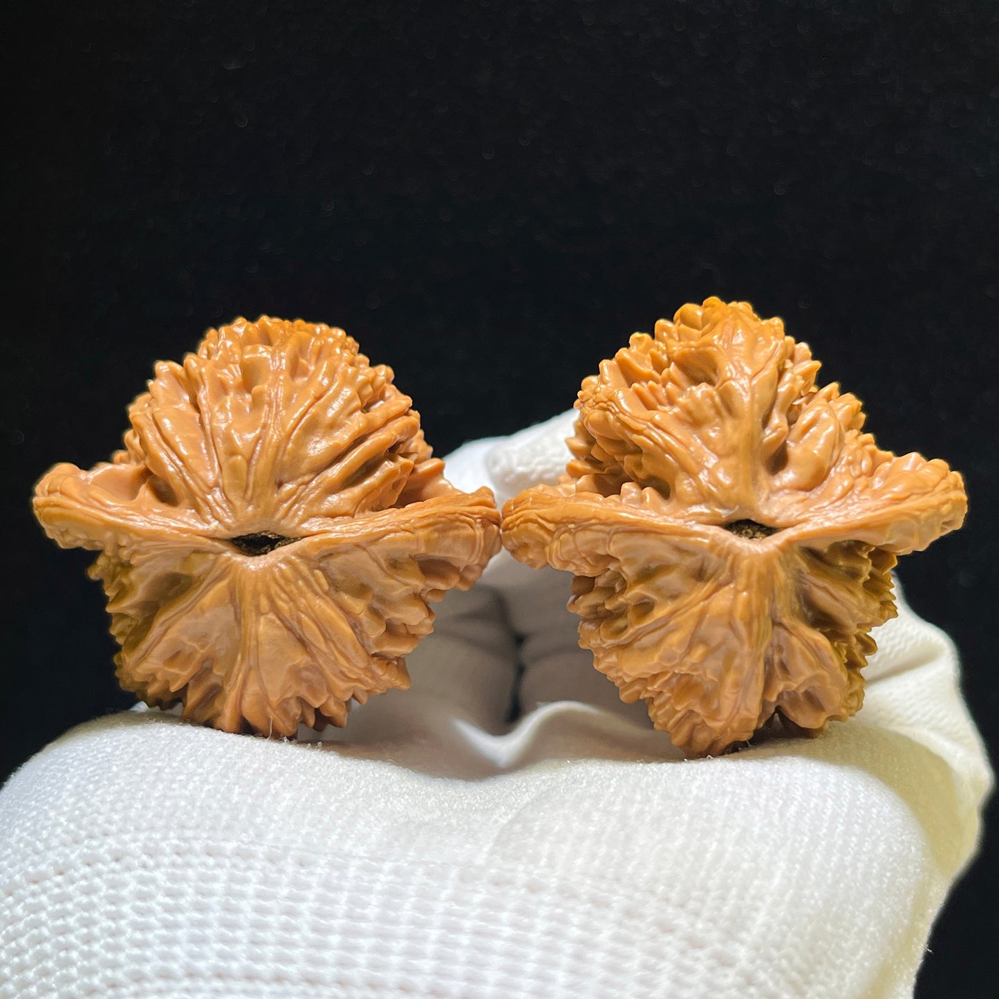 "Wheat Ear Tiger Head" Maisui Hutou Wenwan Walnuts Pair | 41.0mm x 39.0mm | MSHT-1104