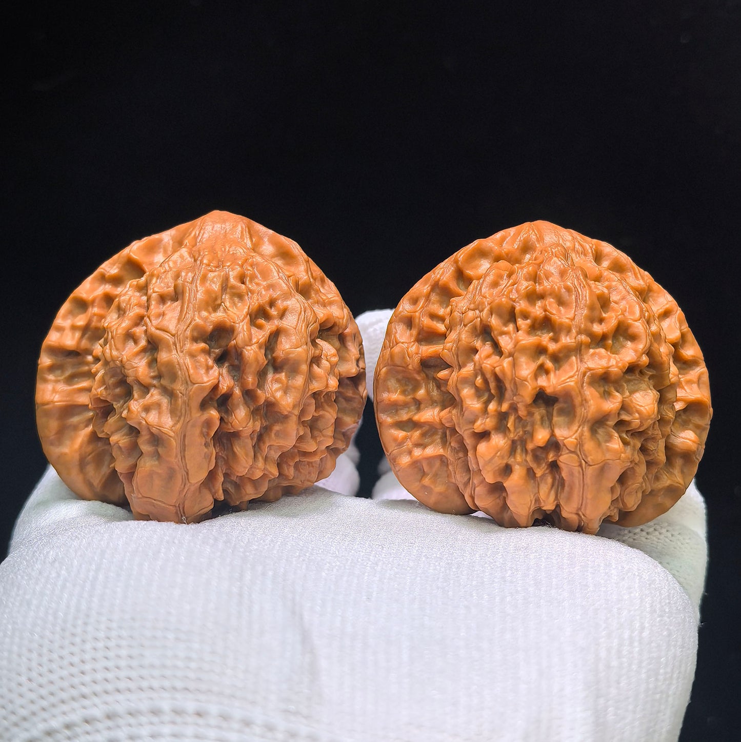 "Kylin Texture Snake Head Treasure Bowl" Qilinwen Shetou Jubaopen Wenwan Walnuts Pair | 50.0mm x 47.0mm | QLWSTJBP-CG212E