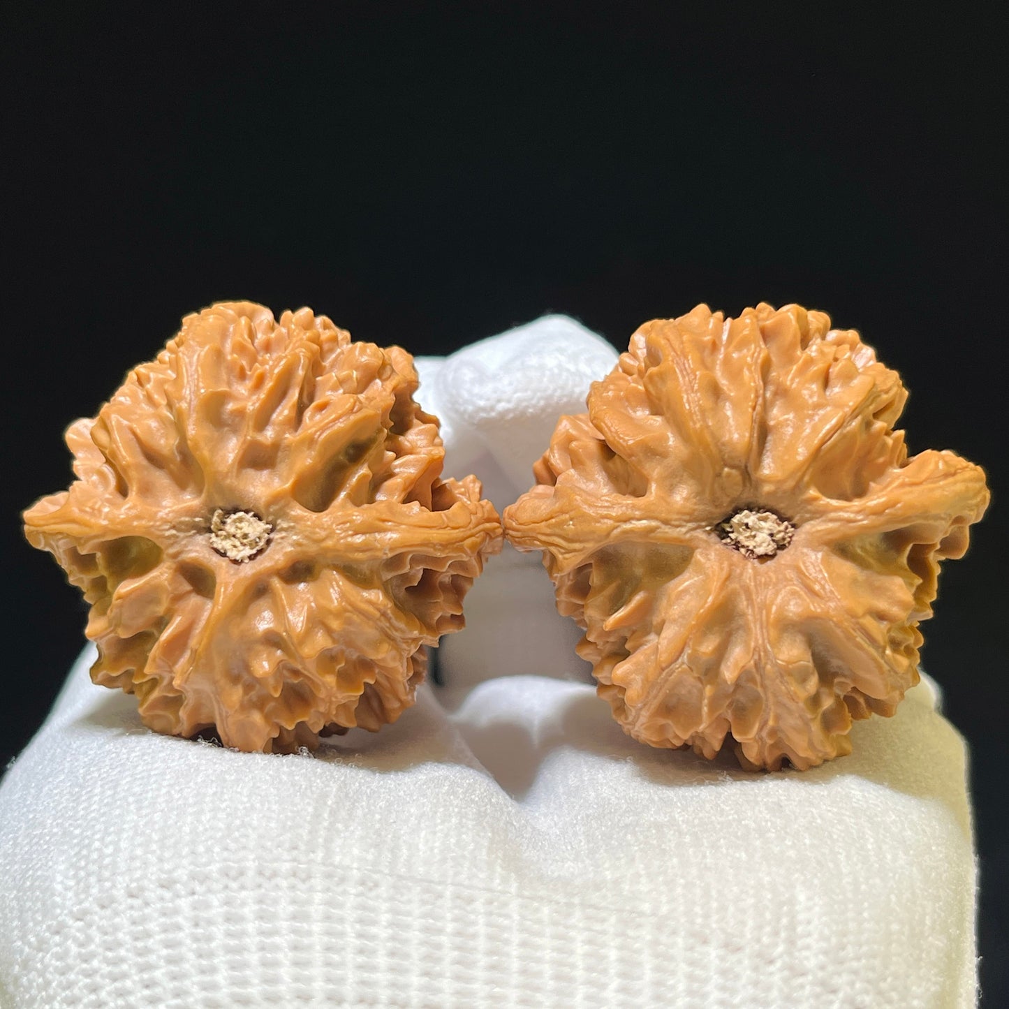 "Apple Garden" Pingguoyuan Wenwan Walnuts (Pair) | 40.0mm x 40.0mm | Stock ID: PGY-1105