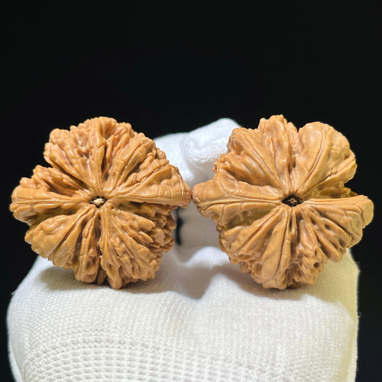 Blizzard Wenwan Walnuts (BX-1103) - Perfectly Paired 42mm x 40mm Antique Culinary Heirlooms, High-Density Wild Mountain Walnut Collection, Zen Meditation Art Gift