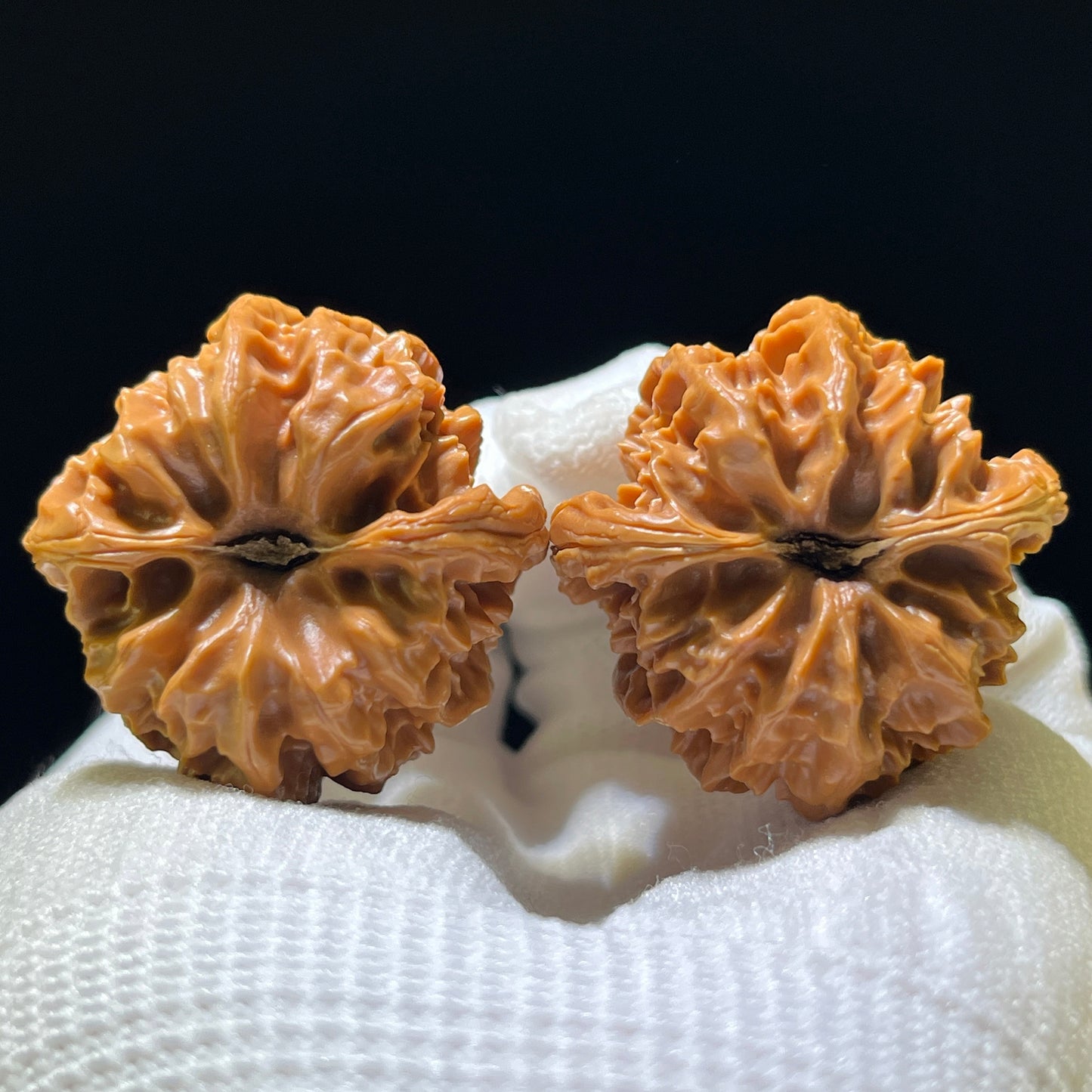 The "Master Cao's Dragon" (Cao Da Long) Deep-Belly Compact Pair | 35.0mm x 36.0mm | CDL-1102