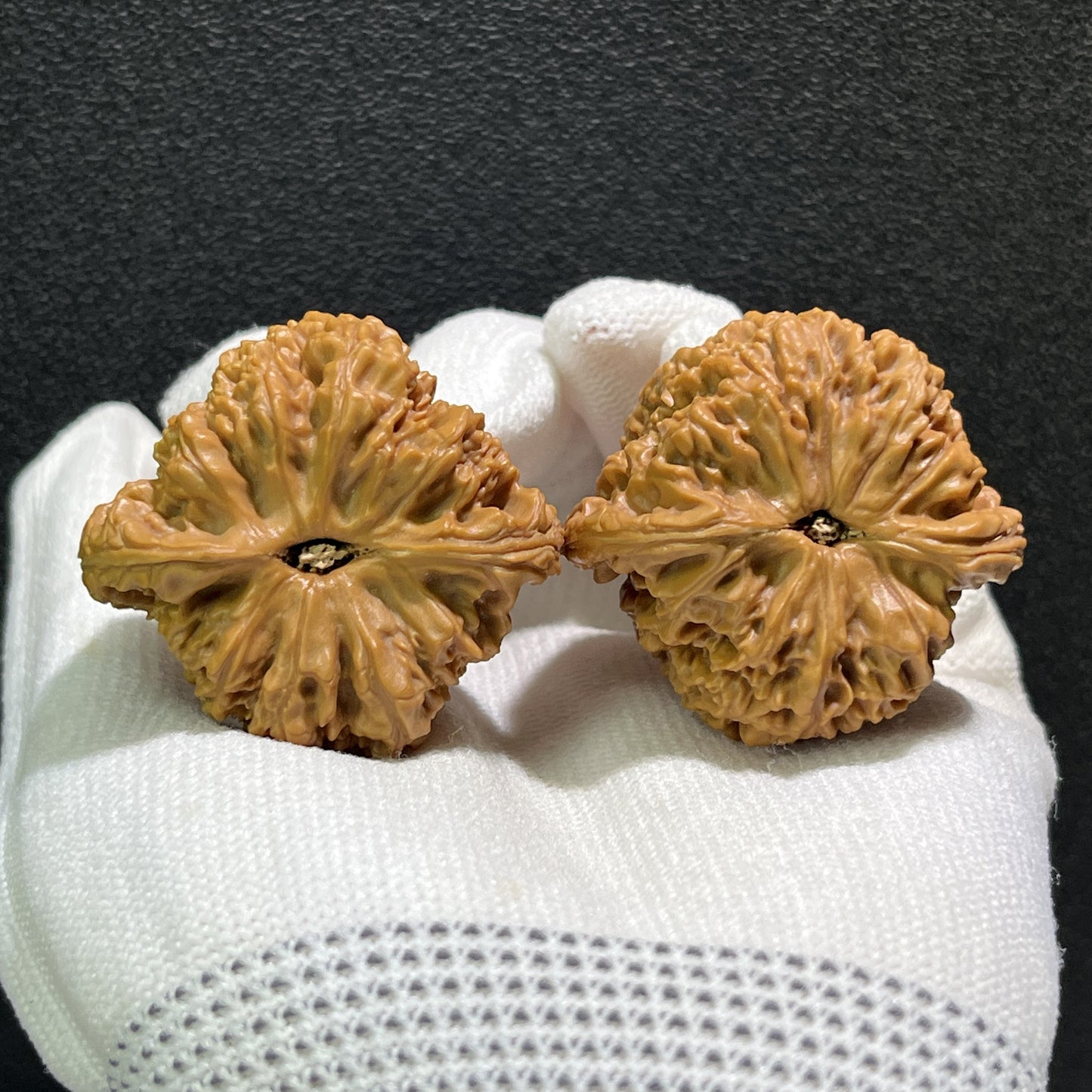 The "Nan Jiang Shi" Pair | 40.0mm x 38.0mm | NJS-408