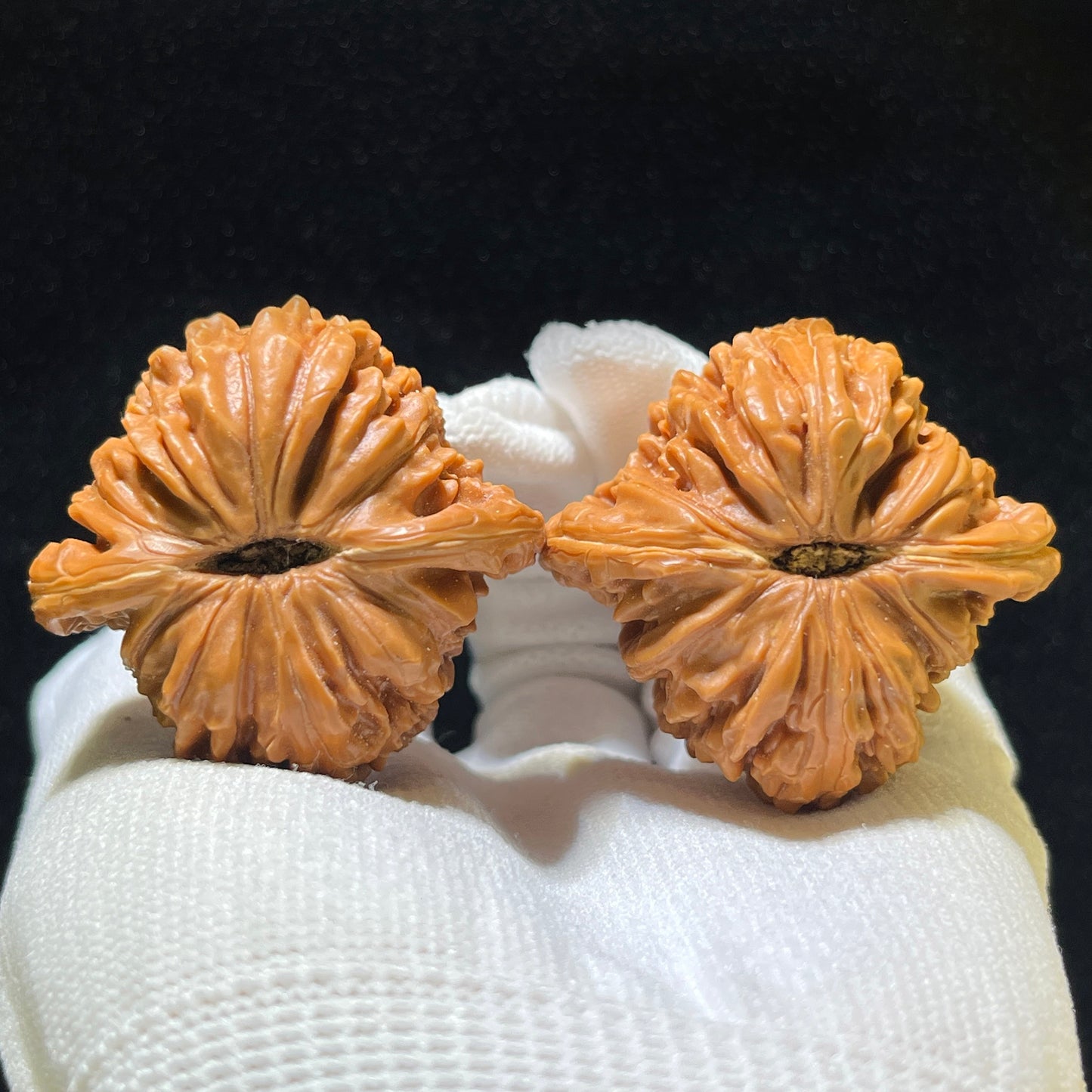 Sizuolou Scholar Walnuts Pair | 42.0mm x 41.0mm | Stock ID: SZL-1102