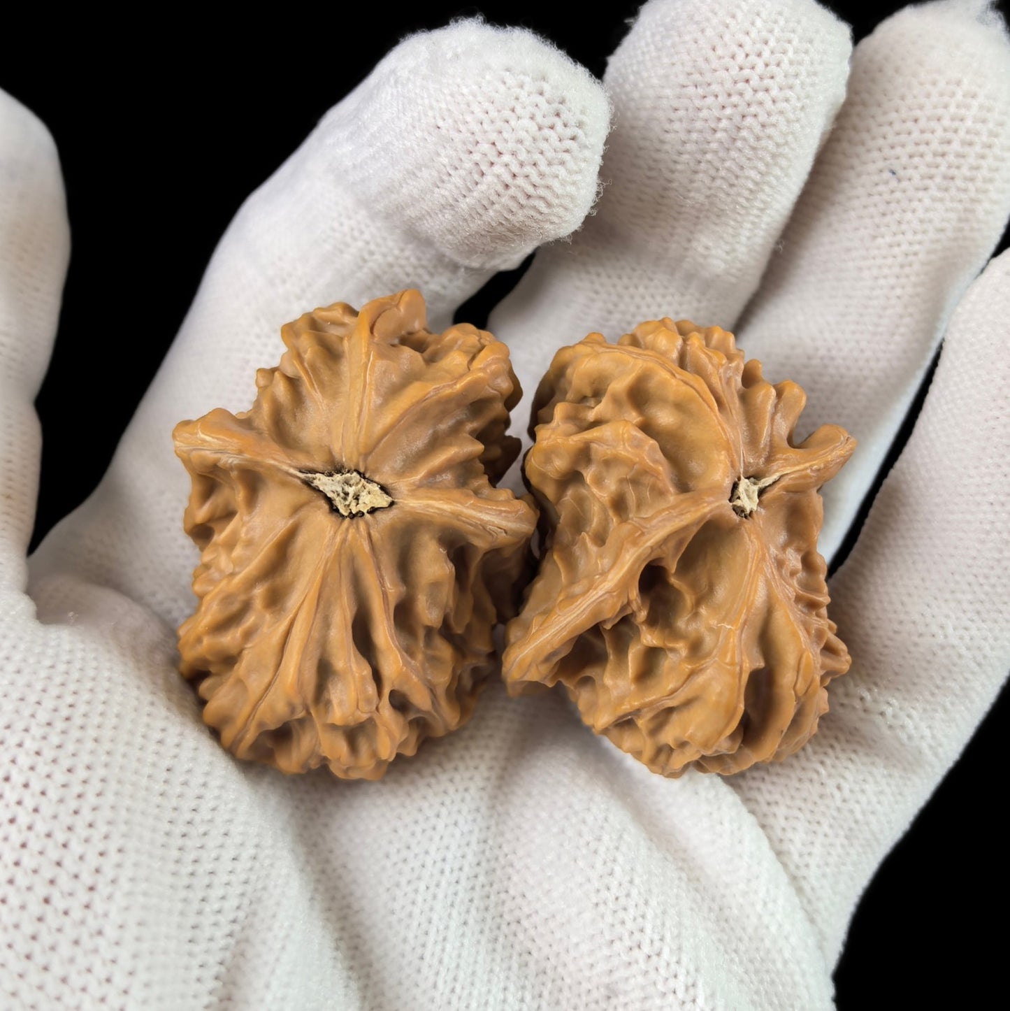 The "Little Birdie" (Xiaoniao) Pair | 29.0mm | YXXL-02