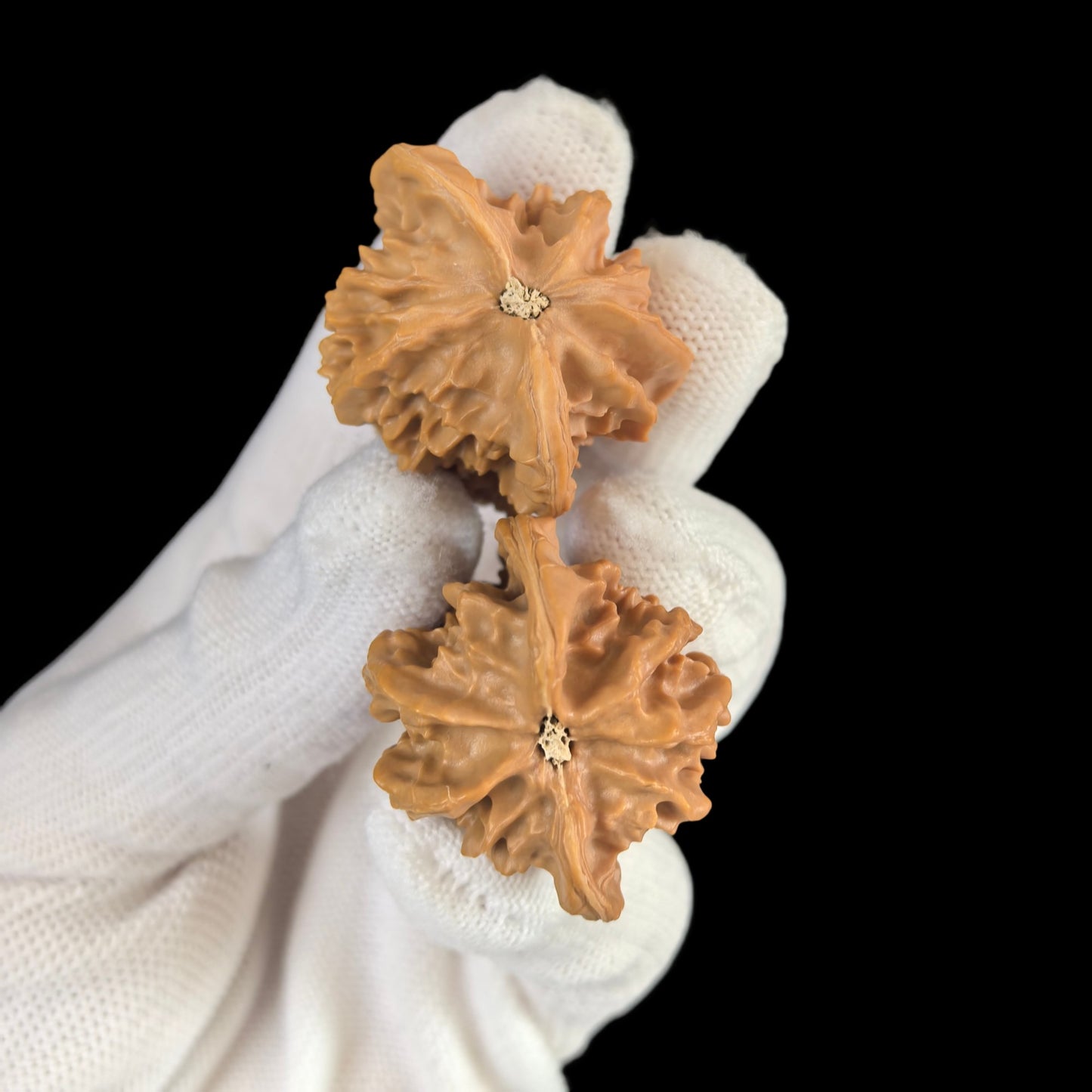 The "Double Gourd" (Hulu) Pair | 29.0mm | FLHL-01