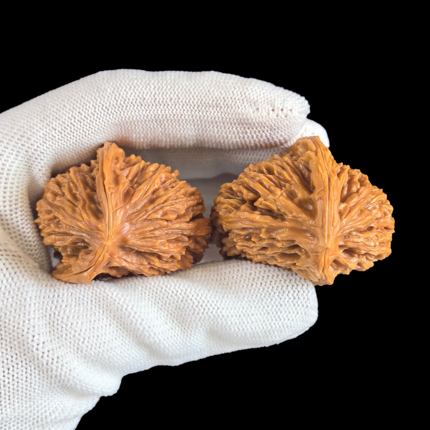 The "Half-Wall White Lion" (Banbi Bai Shizi) Pair | 42.0mm | BBBSZ-03