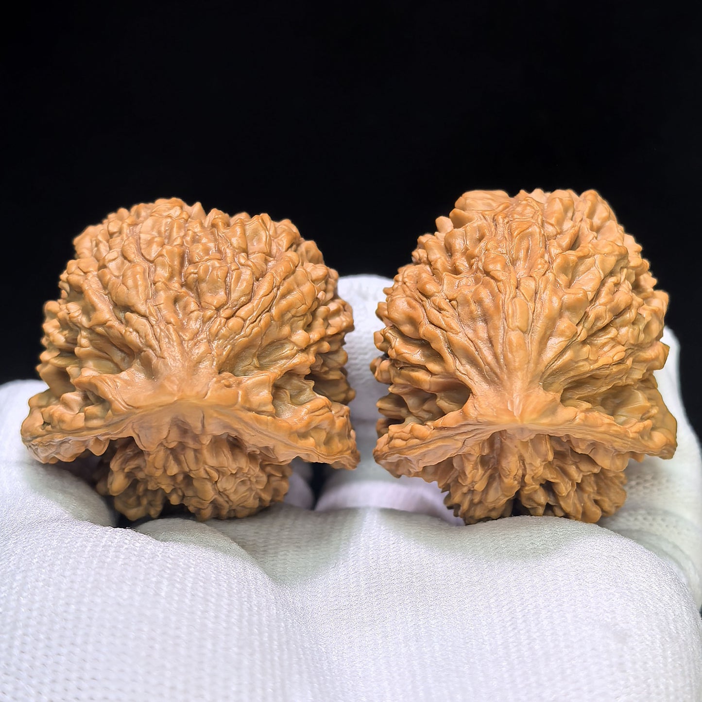 The Serene "Kylin-Texture Seated Buddha" Qilinwen Zuofo Premium Selection | 42.0mm x 40.0mm | QLWZF-402E