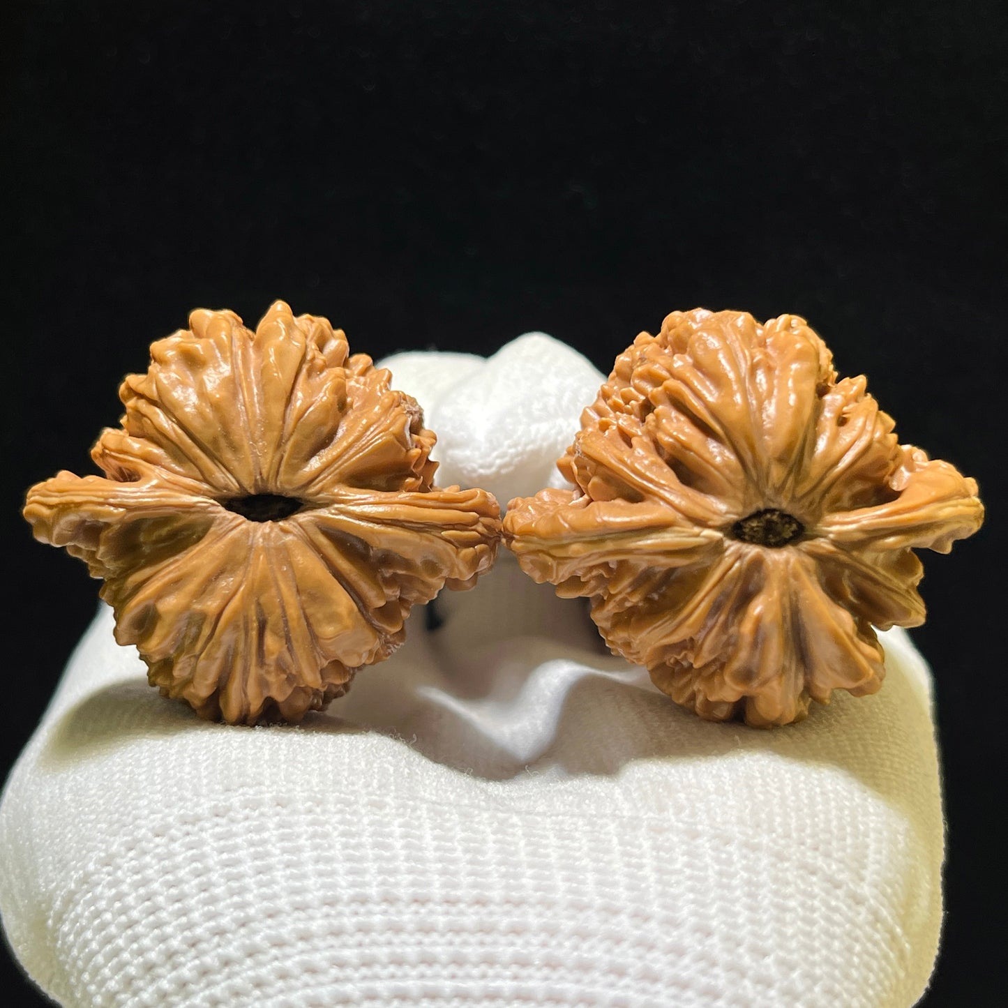 Sizuolou Scholar Walnuts Pair | 41.0mm x 37.0mm | Deep-Belly Format | Stock ID: SZL-1103