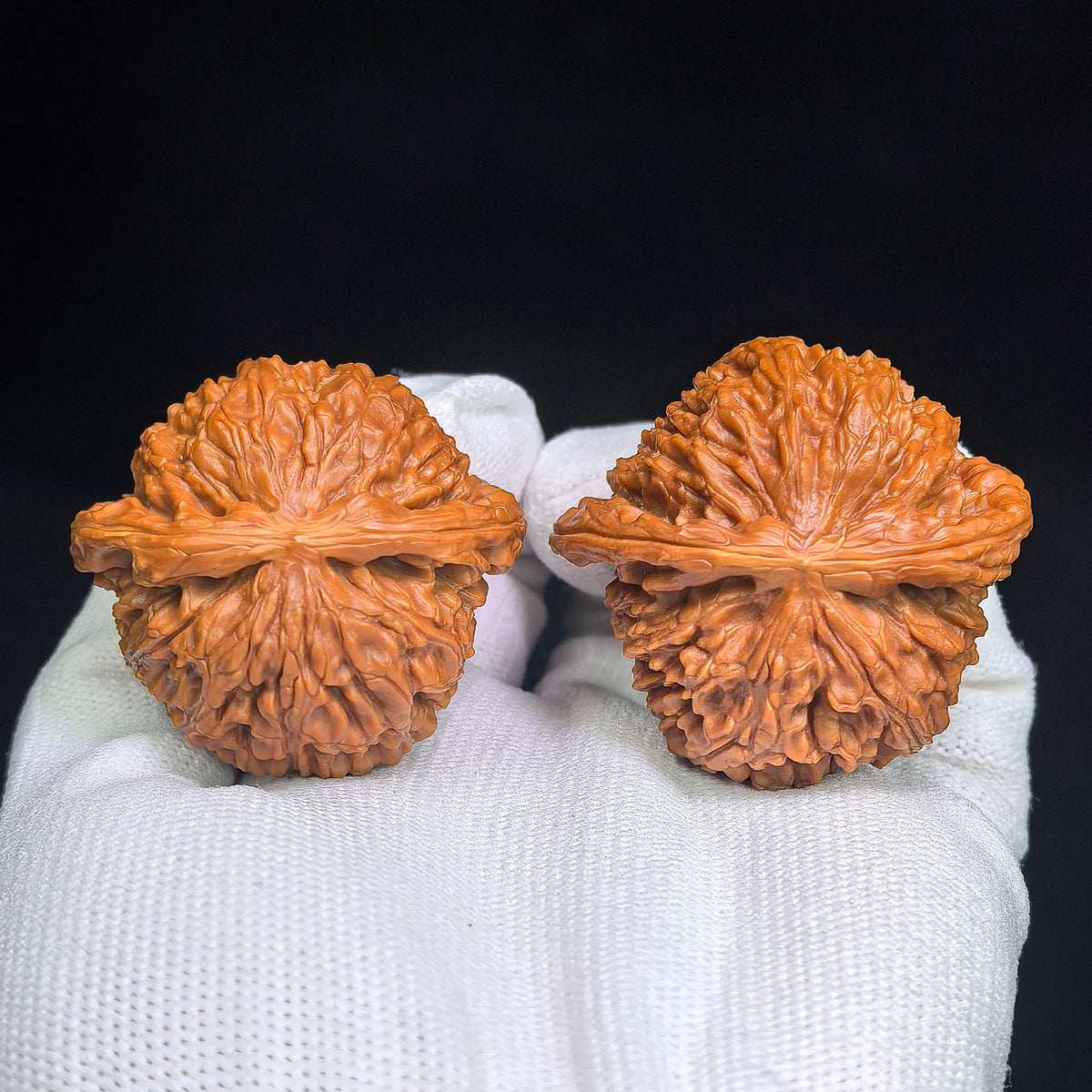Pufferfish-Profile “White Lion Half-Wall” Wenwan Walnut Pair — 44.0mm x 41.0mm / 42.0mm x 39.0mm | BSZBB-1401E