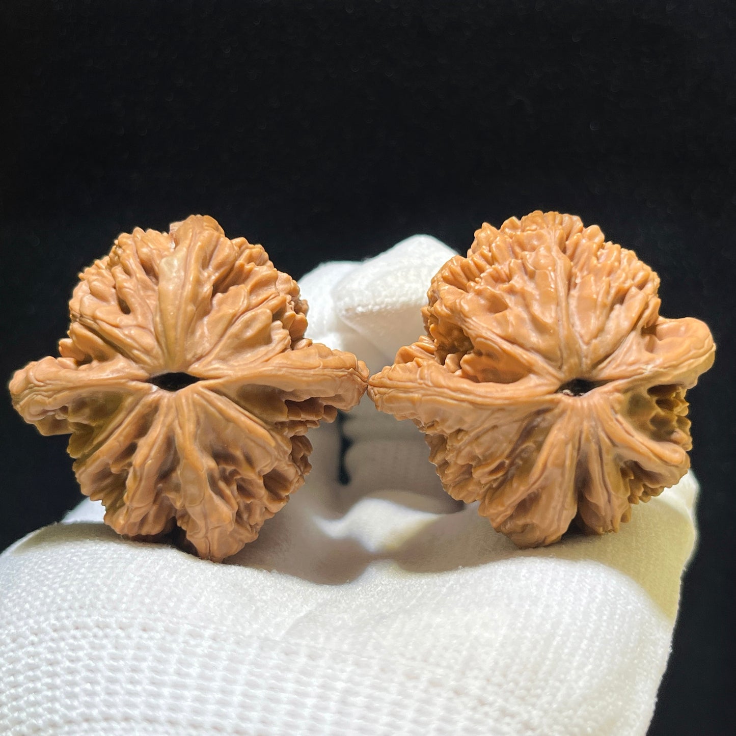 "Wheat Ear Tiger Head" Maisui Hutou Wenwan Walnuts Pair | 40.0mm x 39.0mm | MSHT-1102