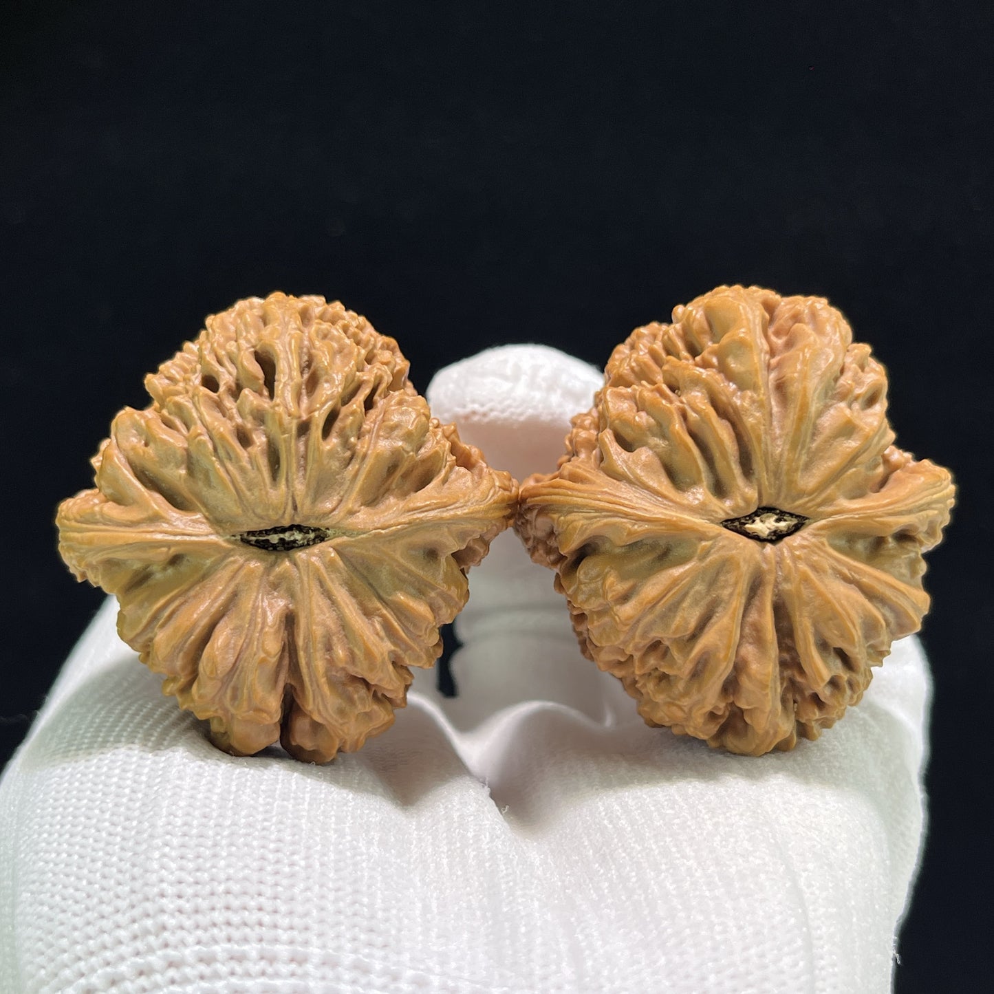 The "Nanjiang Stone" (Nan Jiang Shi) Deep-Bellied Giant Pair | 40.0mm x 42.0mm | NJS-906