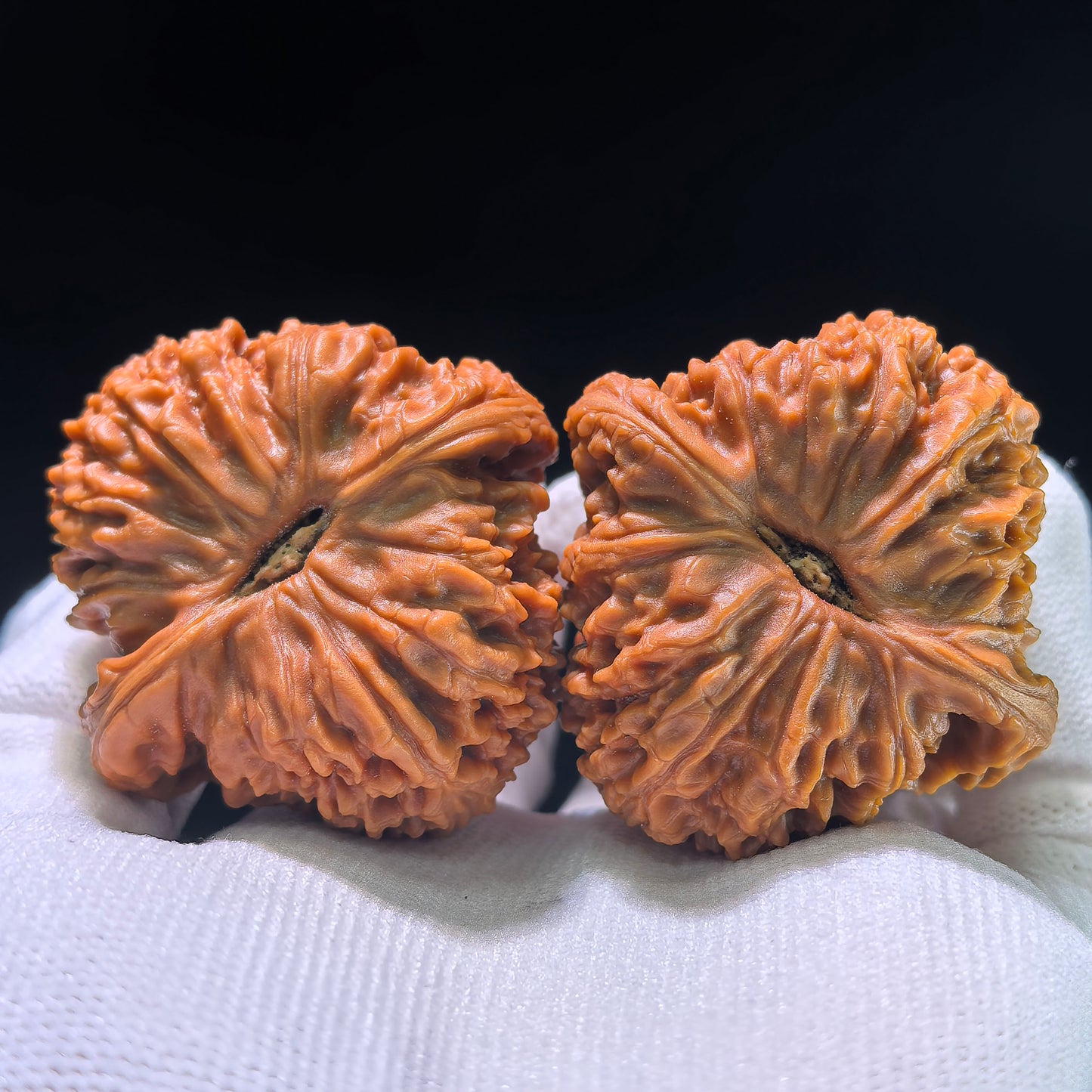 The Nanjiangstone "Premium Boutique" Balanced Pair | 45.0mm x 45.0mm | NJS-1207C