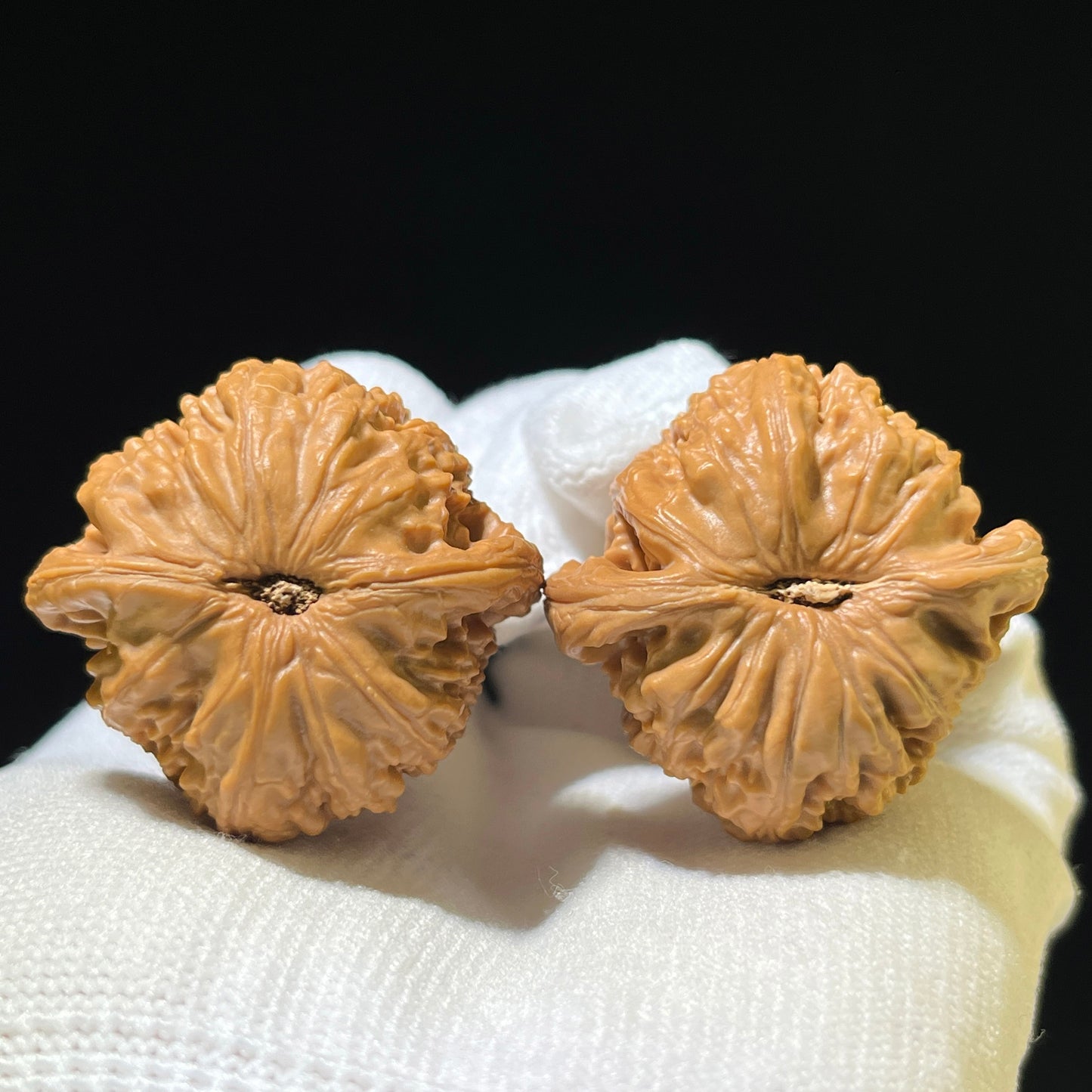 "Concealed Apex White Lion Head" Menjian Bai Shishi Wenwan Walnuts Pair | 35.0mm x 34.0mm | MJBSZ-1101