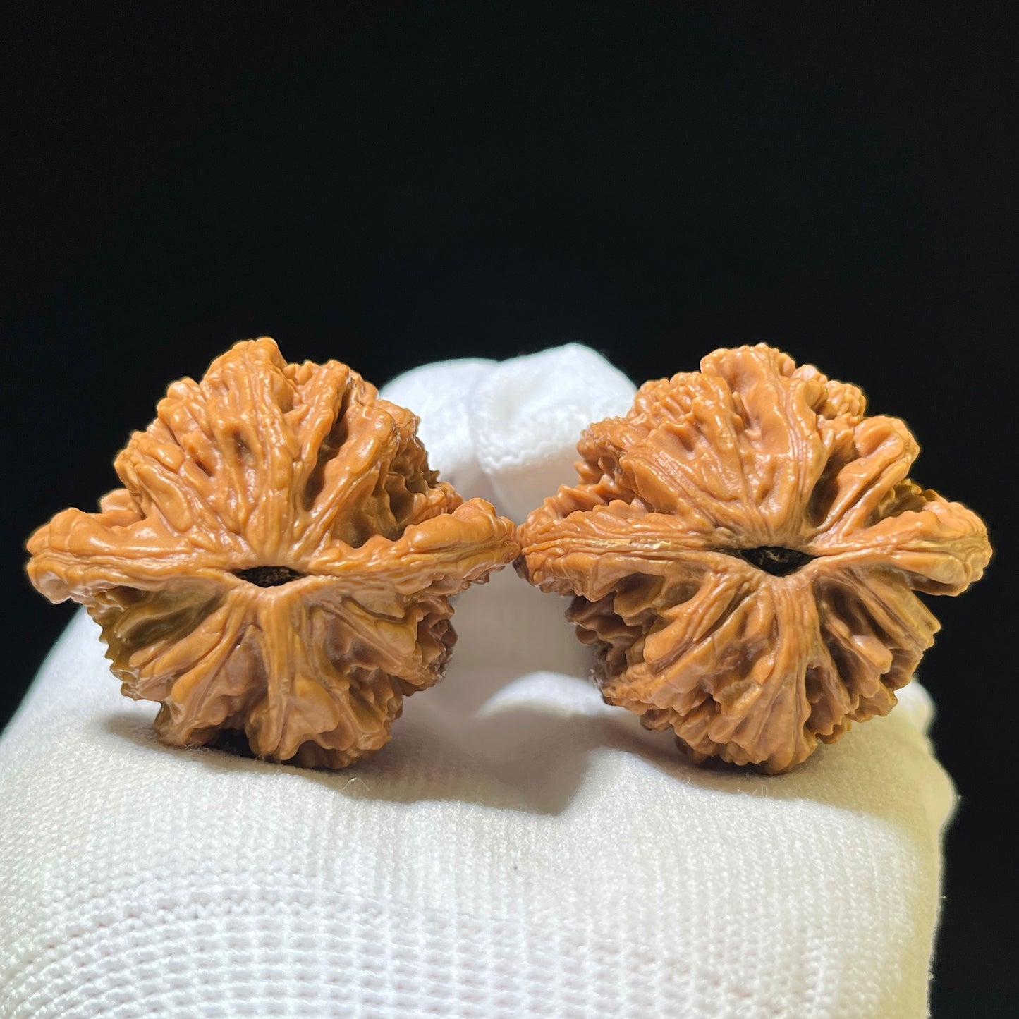 "Wheat Ear Tiger Head" Maisui Hutou Wenwan Walnuts (Pair) | 41.0mm x 37.0mm | Stock ID: MSHT-1109