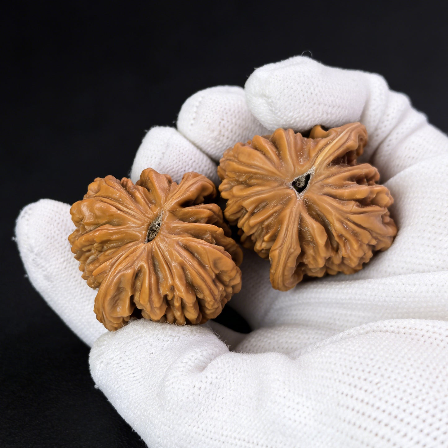 The "Han Gao Lou" (Han's High Tower) Pair | 37.0mm x 37.0mm | HGL-01