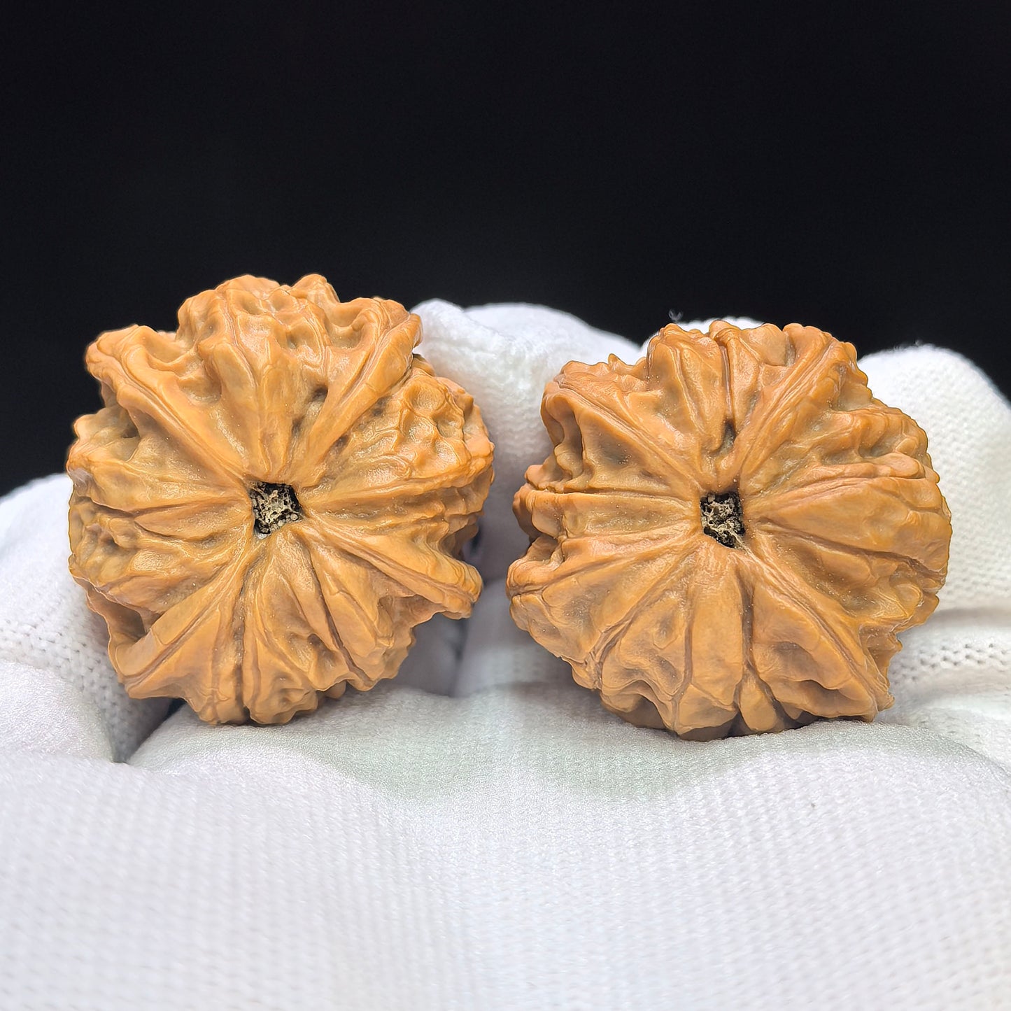 "Imperial Jade Seal X-Men" Yuxi Sileng X-Zhanjing Four-Ribbed Wenwan Walnuts Pair | 36.0mm x 36.0mm | YSFN-C226E