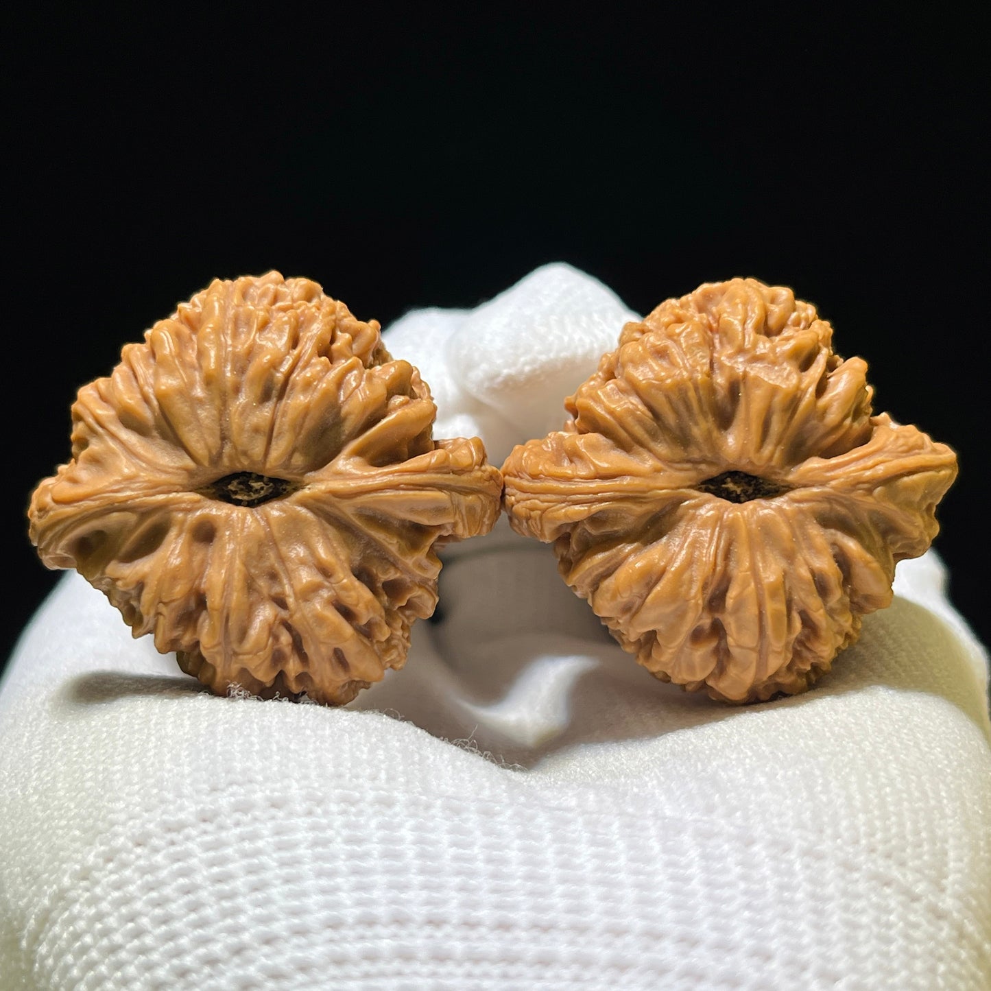 Nanjiangshi Scholar Walnuts Pair | 37.0mm x 34.0mm | Stock ID: NJS-1102