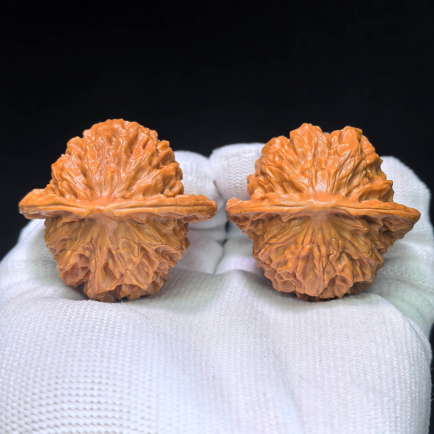 The "Heart-Profile Porcelain Doll" (Ci Wa Wa) Premium Low-Profile Pair | 43.0mm x 40.0mm | BB-Size Standard | CWW-1301C