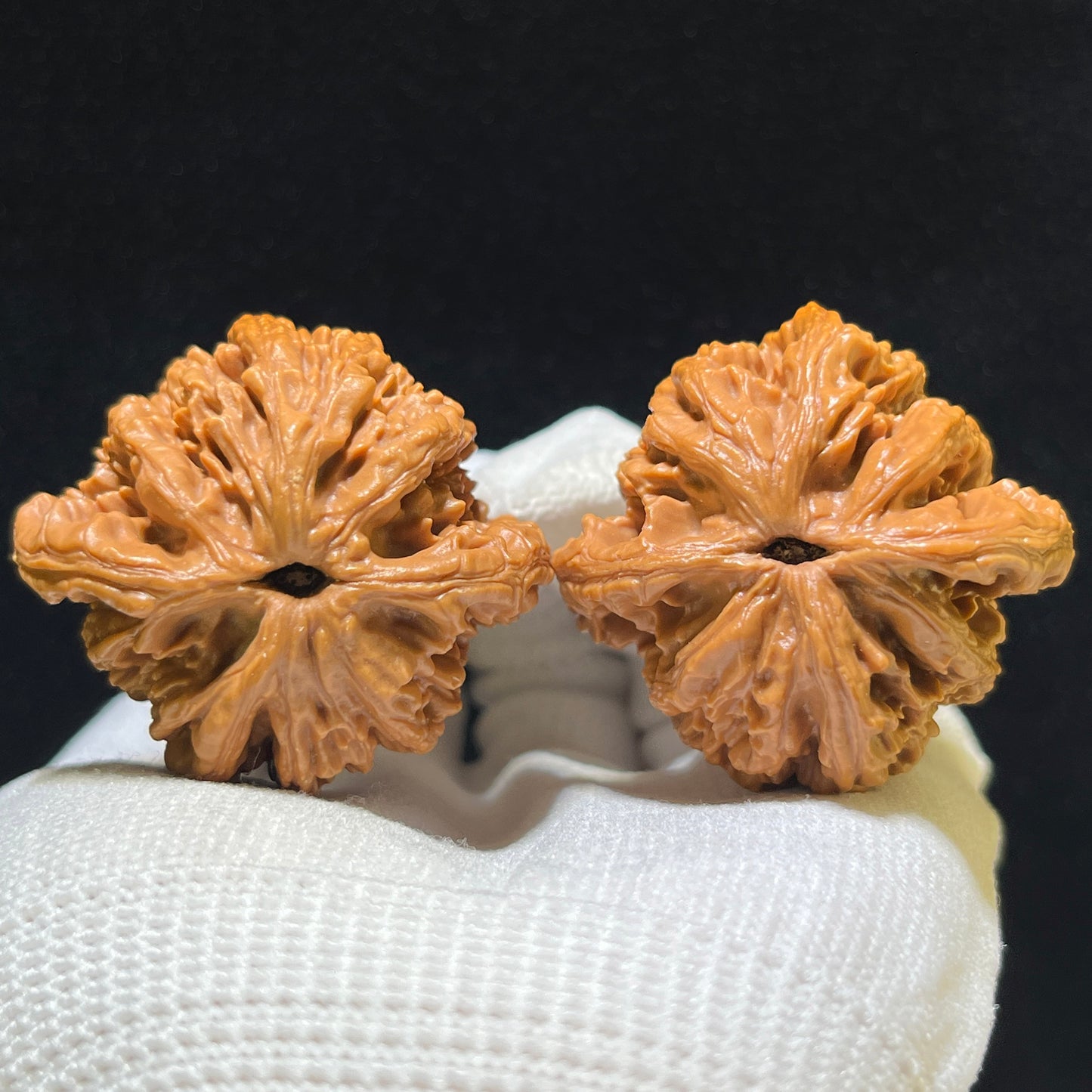 Mai Sui Hu Tou (Wheat Ear Tiger Head) Scholar Walnuts Pair | 41.0mm x 38.0mm | Stock ID: MSHT-1101