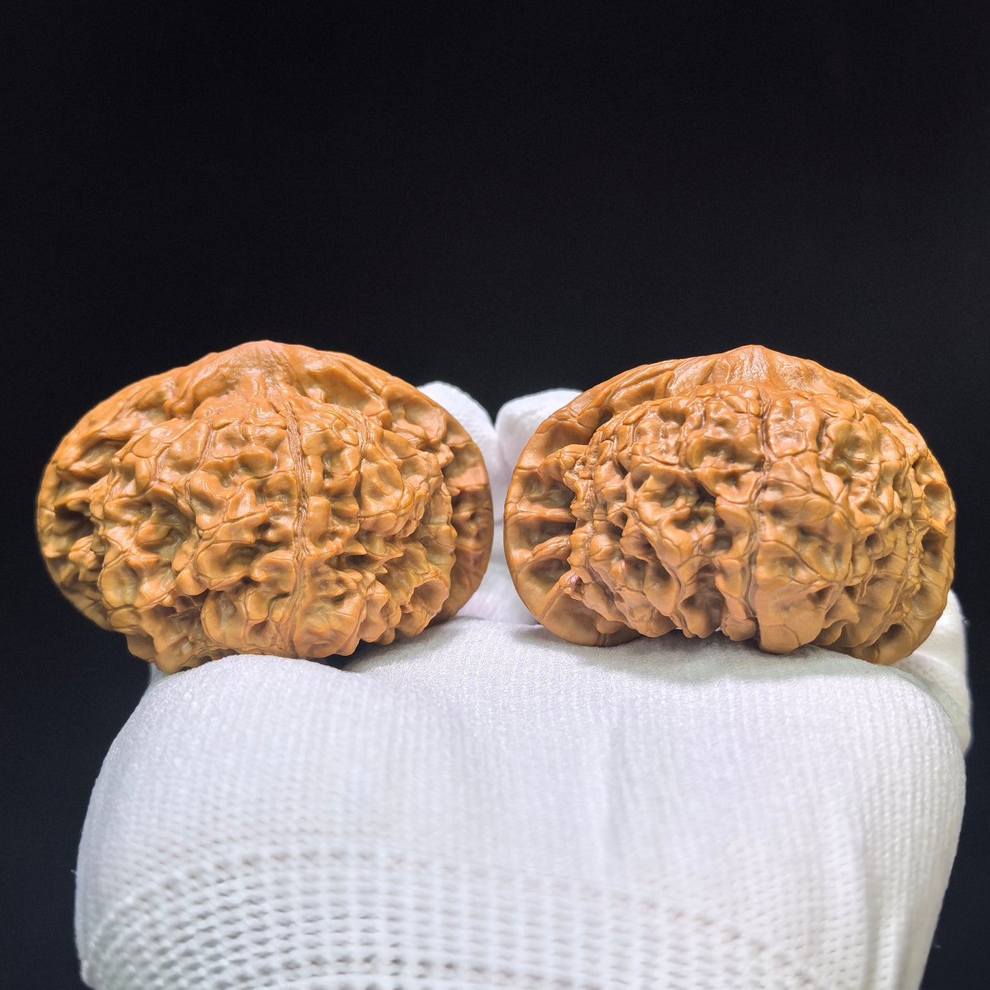 "Dragon Tripod Low Profile" Longding Aizhuang Wenwan Walnuts Pair | 55.0mm x 50.0mm | LD-1552C