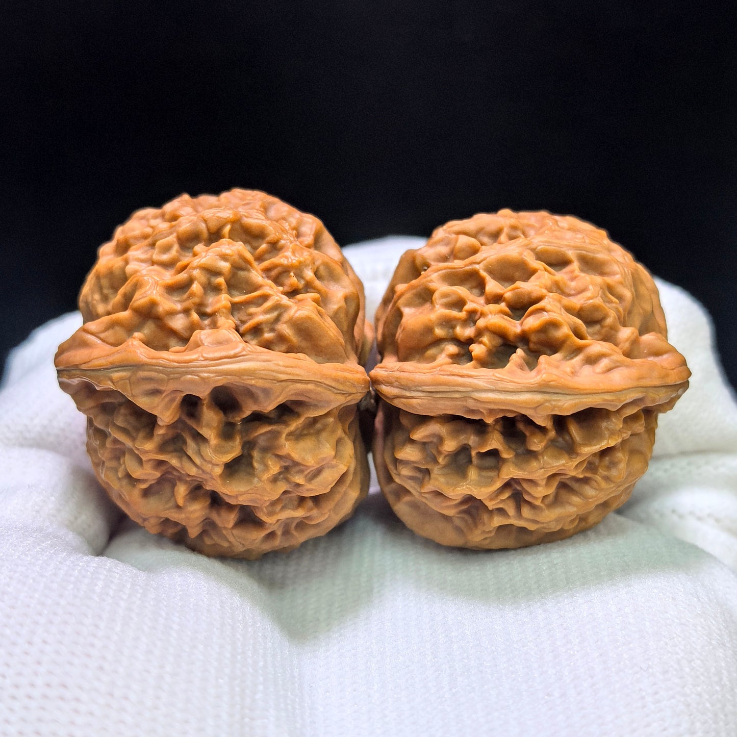 "Palace Lantern Flying Snake Turtle Back" Gdfsgb-CG219E Wenwan Walnuts Pair | 40.0mm x 38.0mm | GDFSGB-CG219E