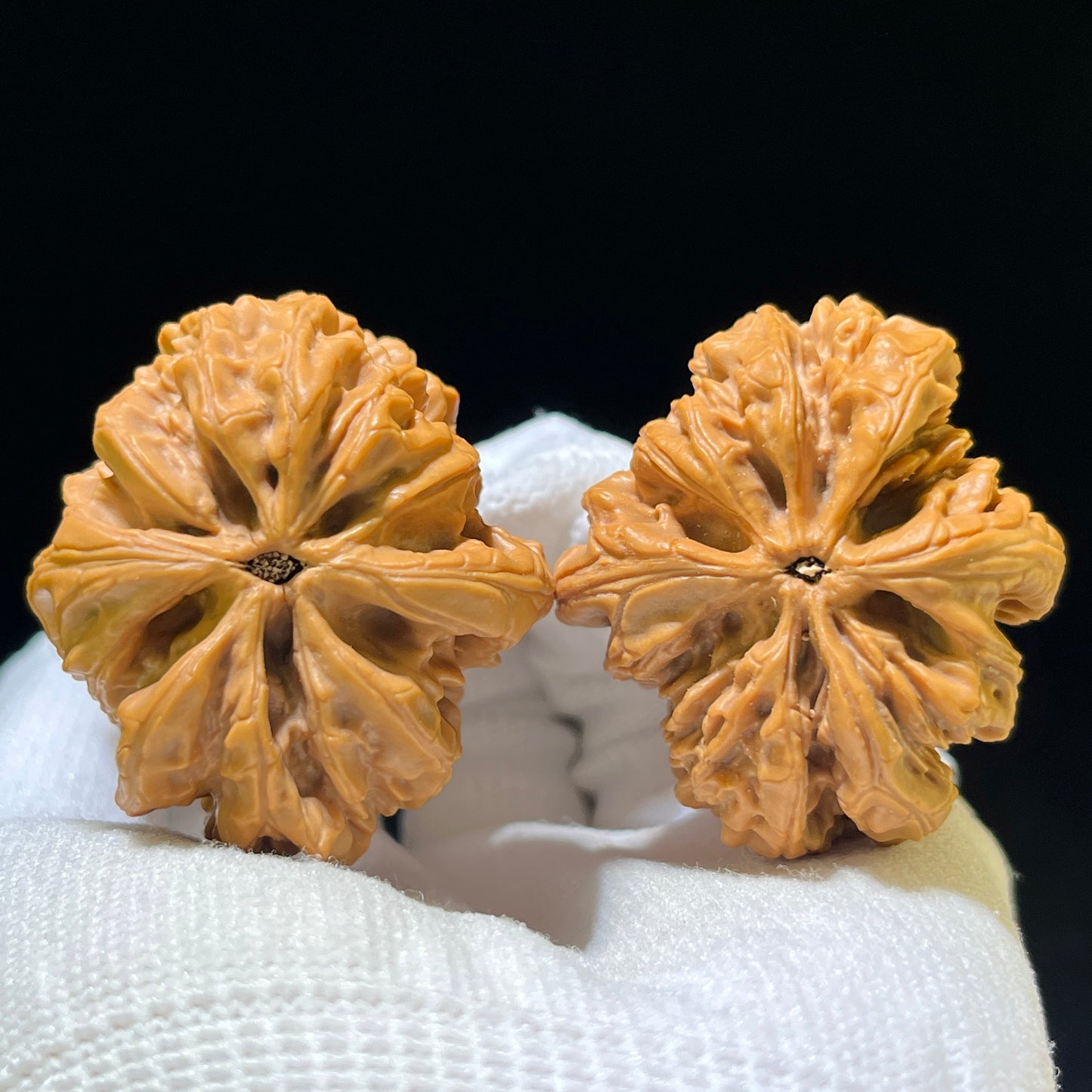 "Blizzard" Mantianxing Blizzard Variety Wenwan Walnuts Pair | 37.0mm x 41.0mm | BX-1109