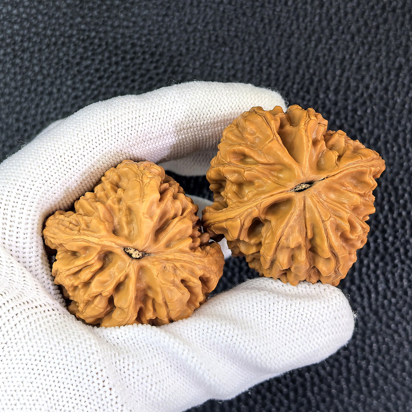 The "Da Gu Stone" (Da Gu Shi) Pair | 43.0mm x 43.0mm | DKS-301