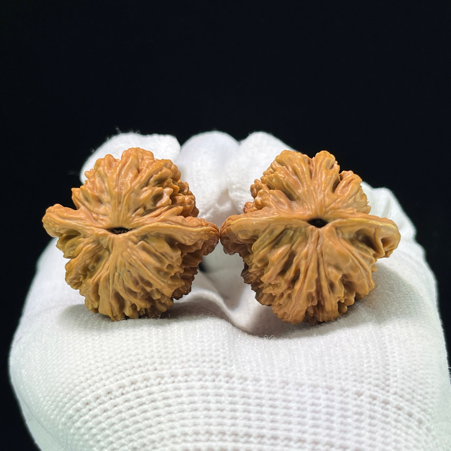Mai Sui Hu Tou (Wheat Ear Tiger Head) Scholar Walnuts Pair | 33.0mm x 33.0mm | Stock ID: MSHT-1003