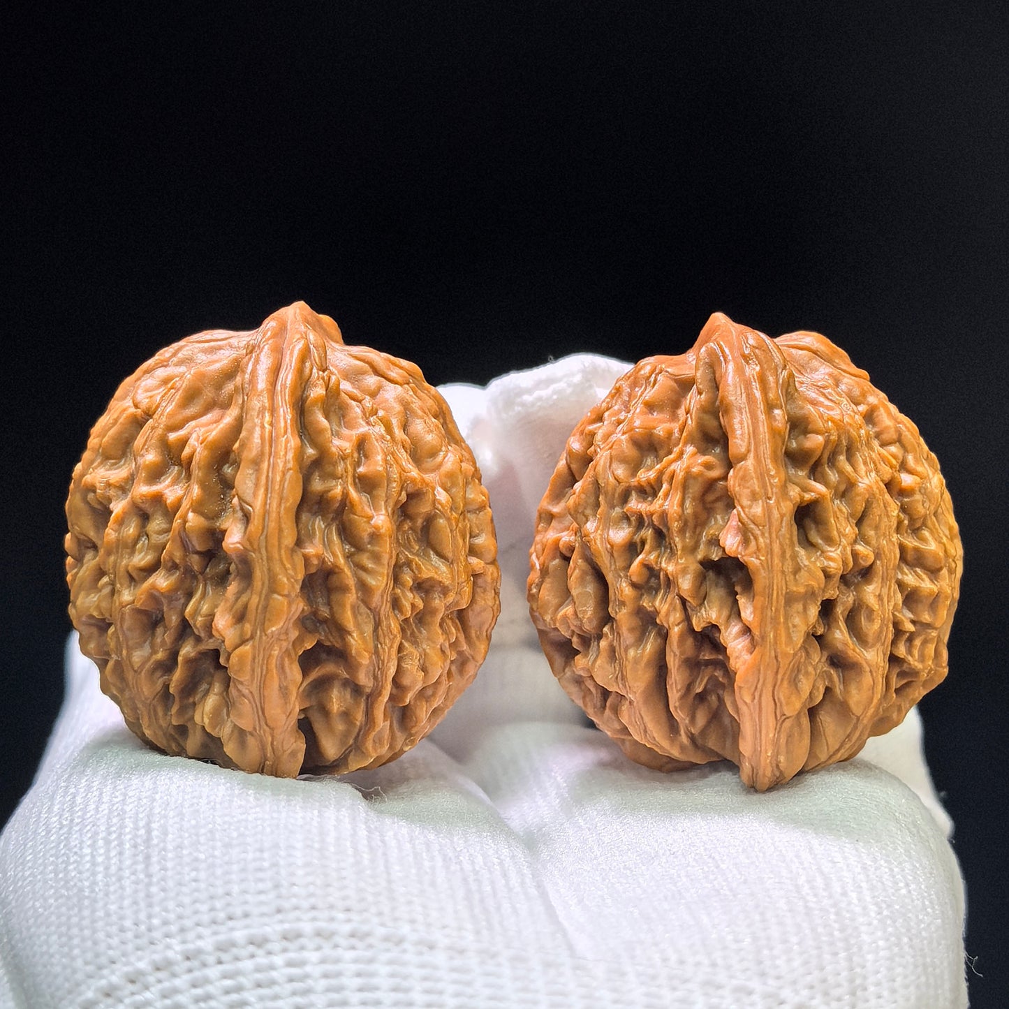 "Liger" Shihushou Wenwan Walnuts Pair | 40.0mm x 40.0mm | SHS-1101
