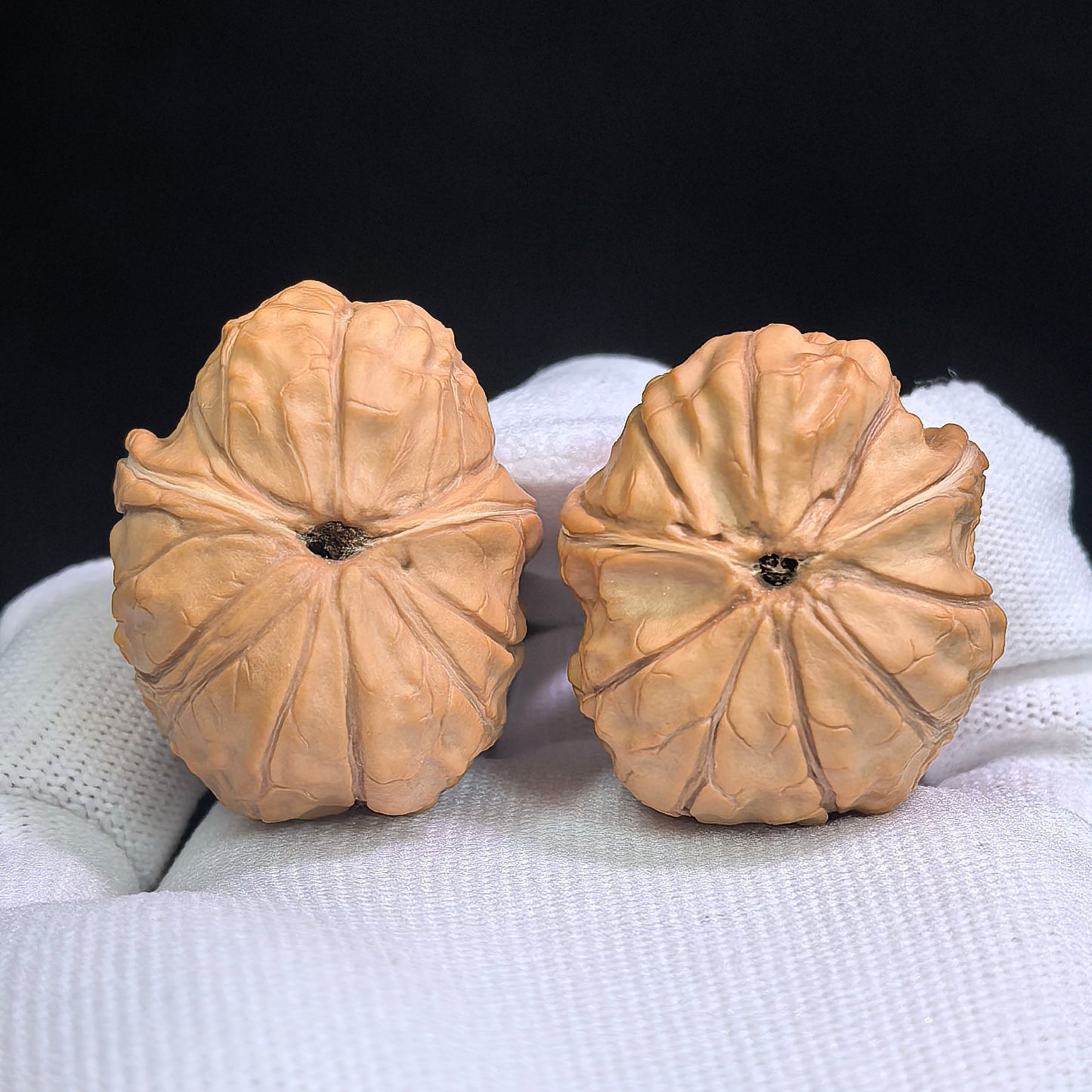 "Tortoise-Shell Half-Wall Turtle-Back" (Gui Jia Wen Ban Bi Gui Bei) Scholar Walnuts Pair | Same-Fruit Biological Twin Pair | 30.0mm x 36.0mm | Collector Grade E | Stock ID: GJWGB-SY1B3