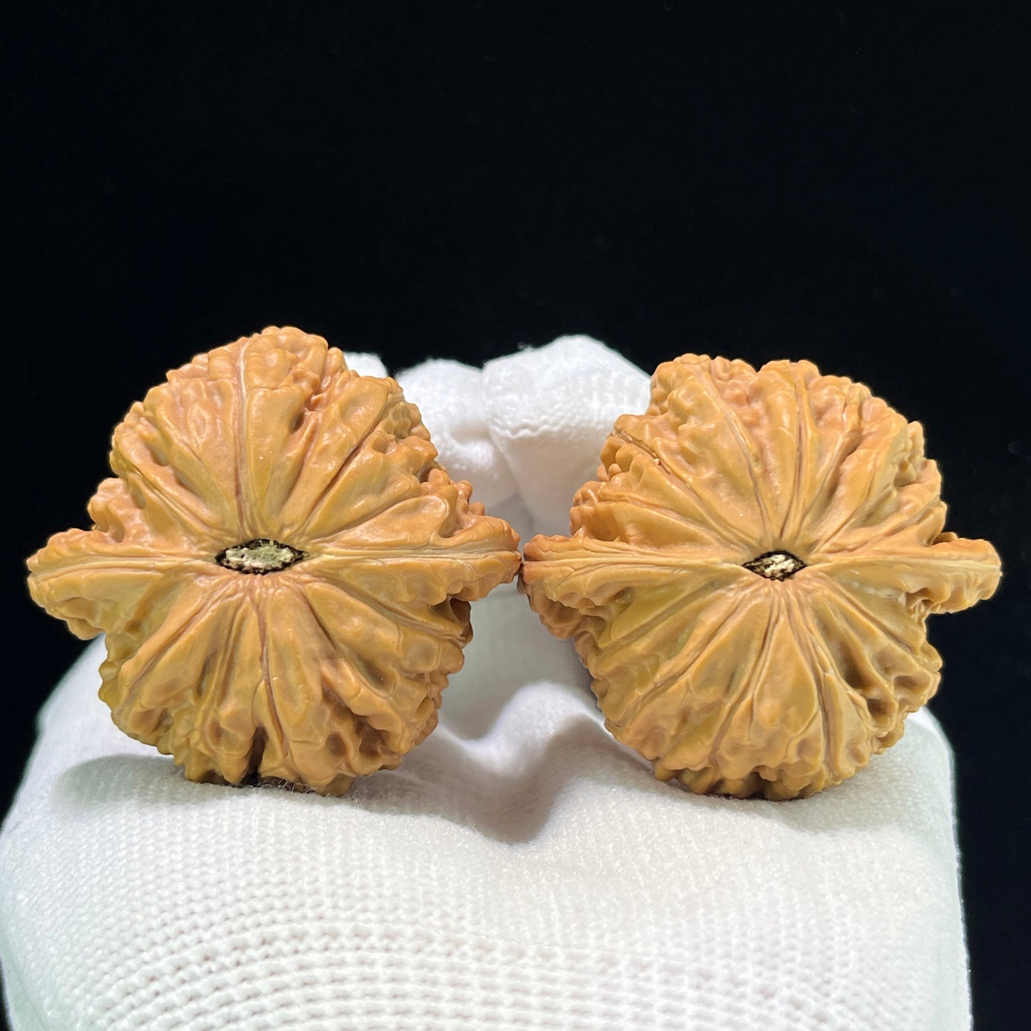 "Millstone" Mopan Wenwan Walnuts Pair | 42.0mm x 41.0mm | MP-1002
