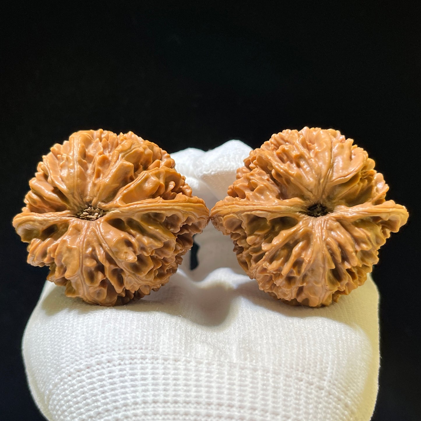 The Illustrious "Big Official Hat" Da Guanmao Premium Collection | 46.0mm x 43.0mm | DGM-1102