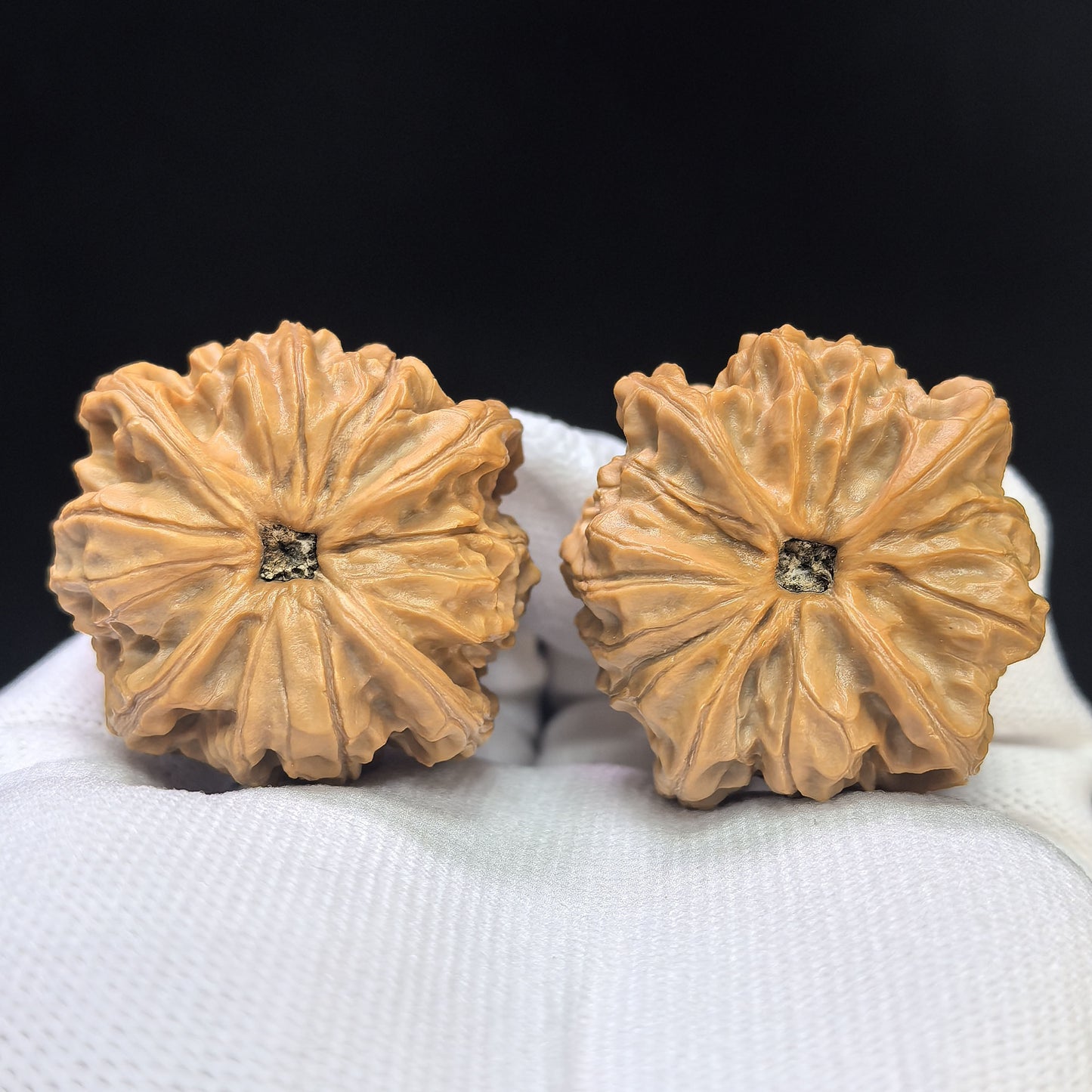 "Imperial Jade Seal X-Men" Yuxi Sileng X-Zhanjing Four-Ribbed Wenwan Walnuts Pair | 41.0mm x 40.0mm | YSFN-C227E