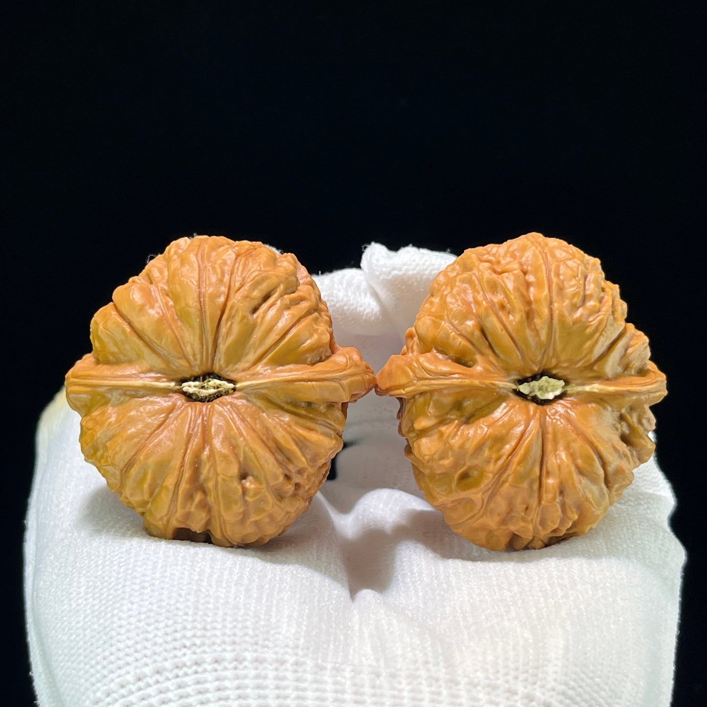 The "Squat Pumpkin" (Nan Gua Dun) Deep-Bellied Giant Pair | 44.0mm x 45.0mm | NGD-802