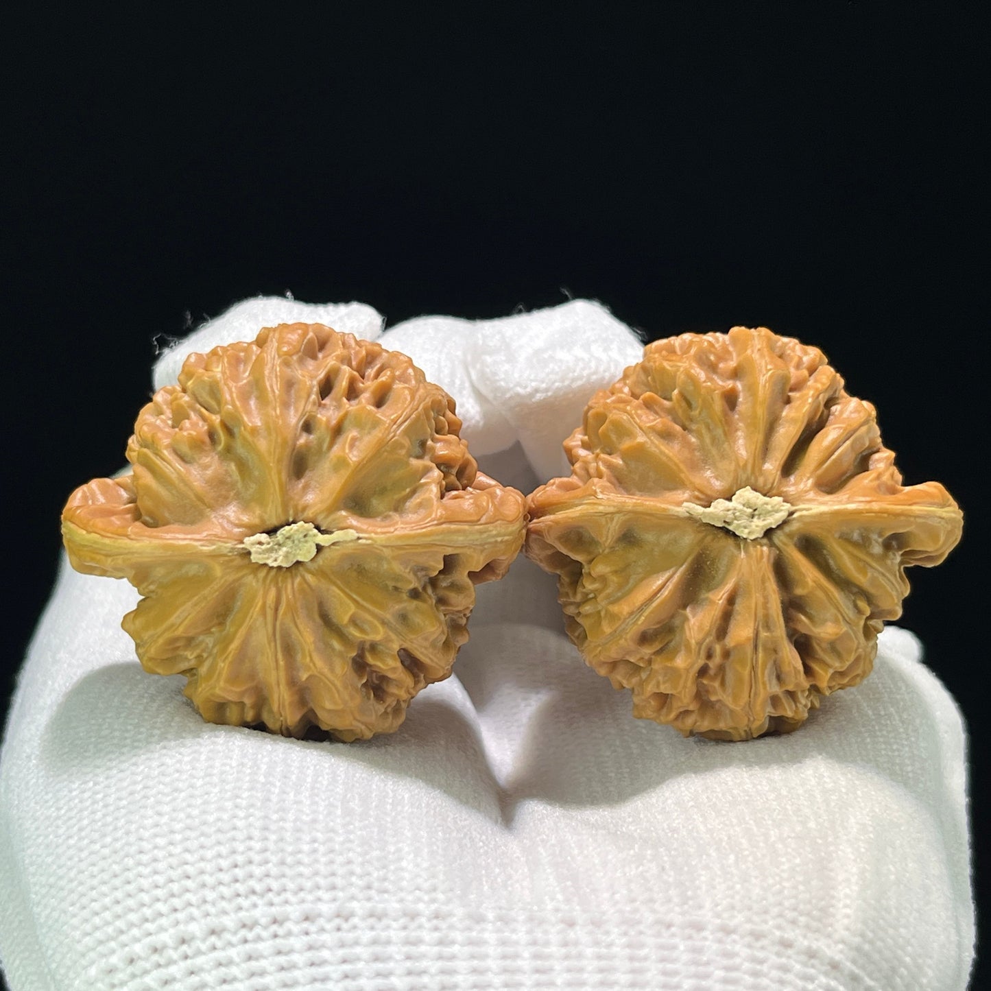 The "Squat Pumpkin" (Nan Gua Dun) Full-Bellied Giant | 44.0mm x 45.0mm | NGD-904