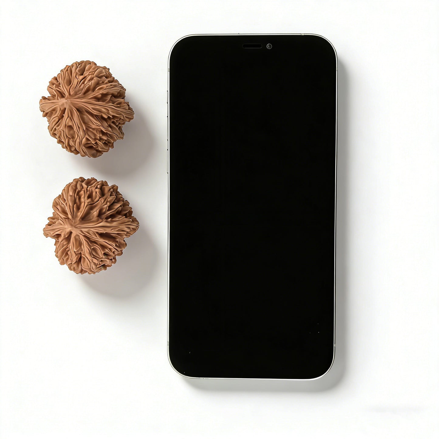 The "Jade Dragon" (Yulong) Pair | 38.0mm | WH-01