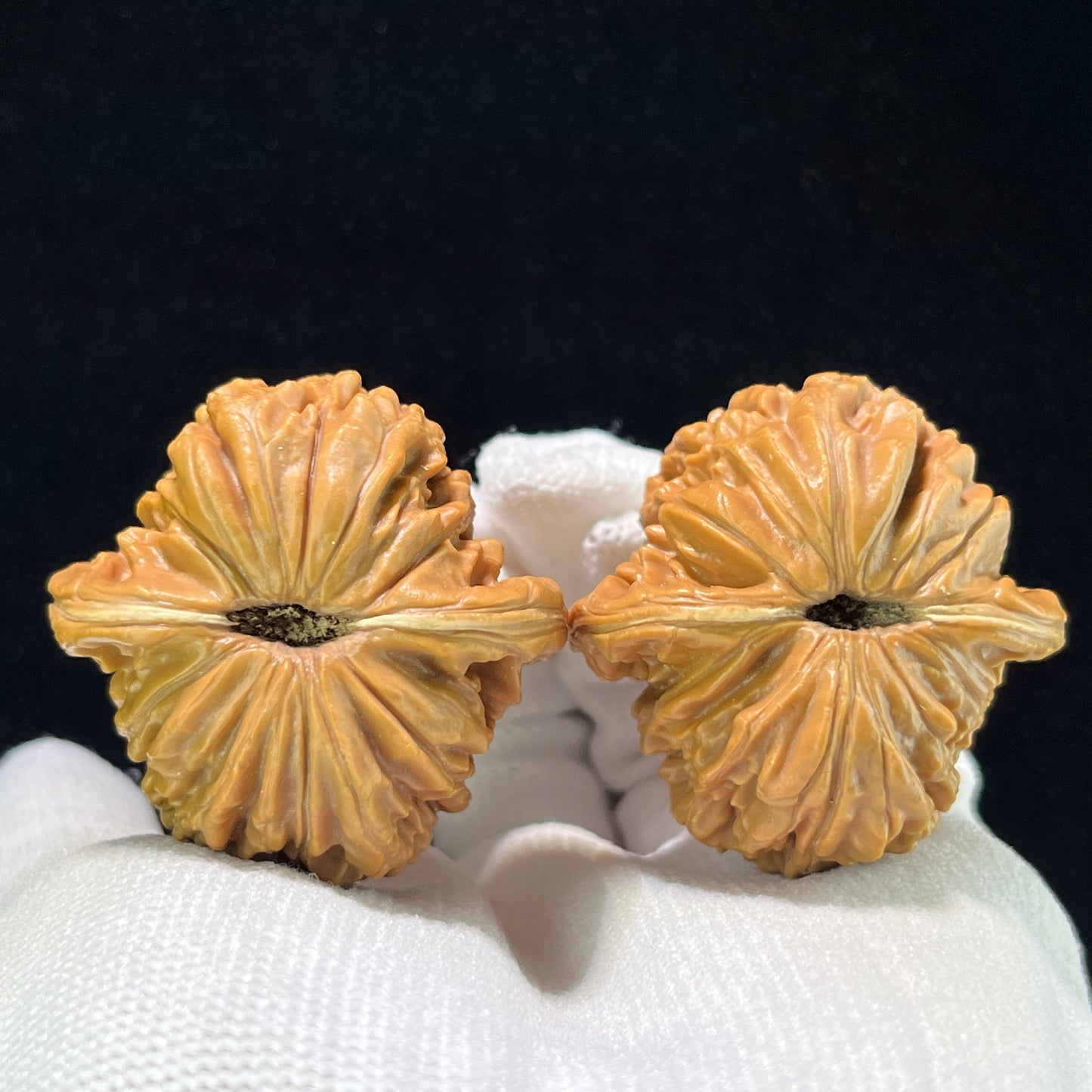 Sizuolou Lion Head (Si Zuo Lou) Scholar Walnuts Pair | 39.0mm x 39.0mm | Stock ID: SZL-1001