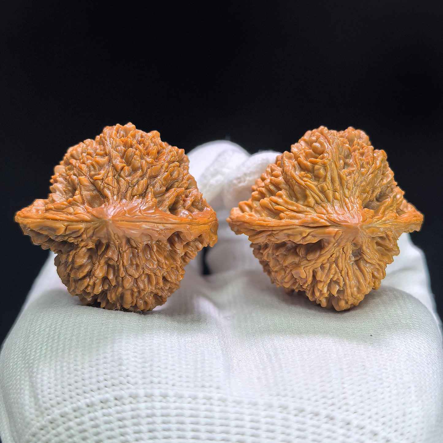 "Peach Heart Concave Base Starry Sky" Taoxin Aodi Mantianxing MTX-1408 Classic Wenwan Walnuts Pair | 39.0mm x 37.0mm | MTX-1408