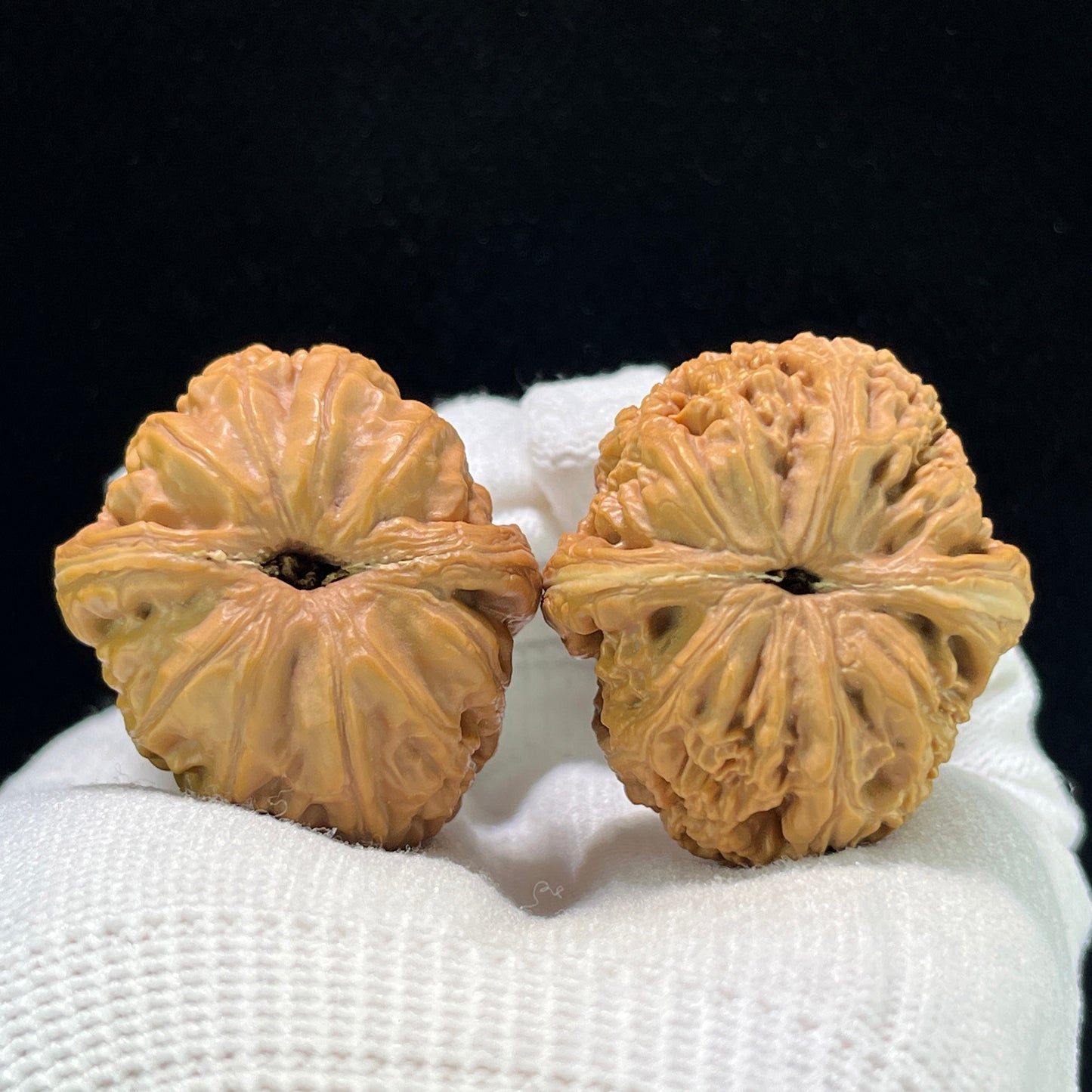 Pinggu Yuanbao (Gold Ingot) Scholar Walnuts Pair | 34.0mm x 37.0mm | Stock ID: PGYB-1104