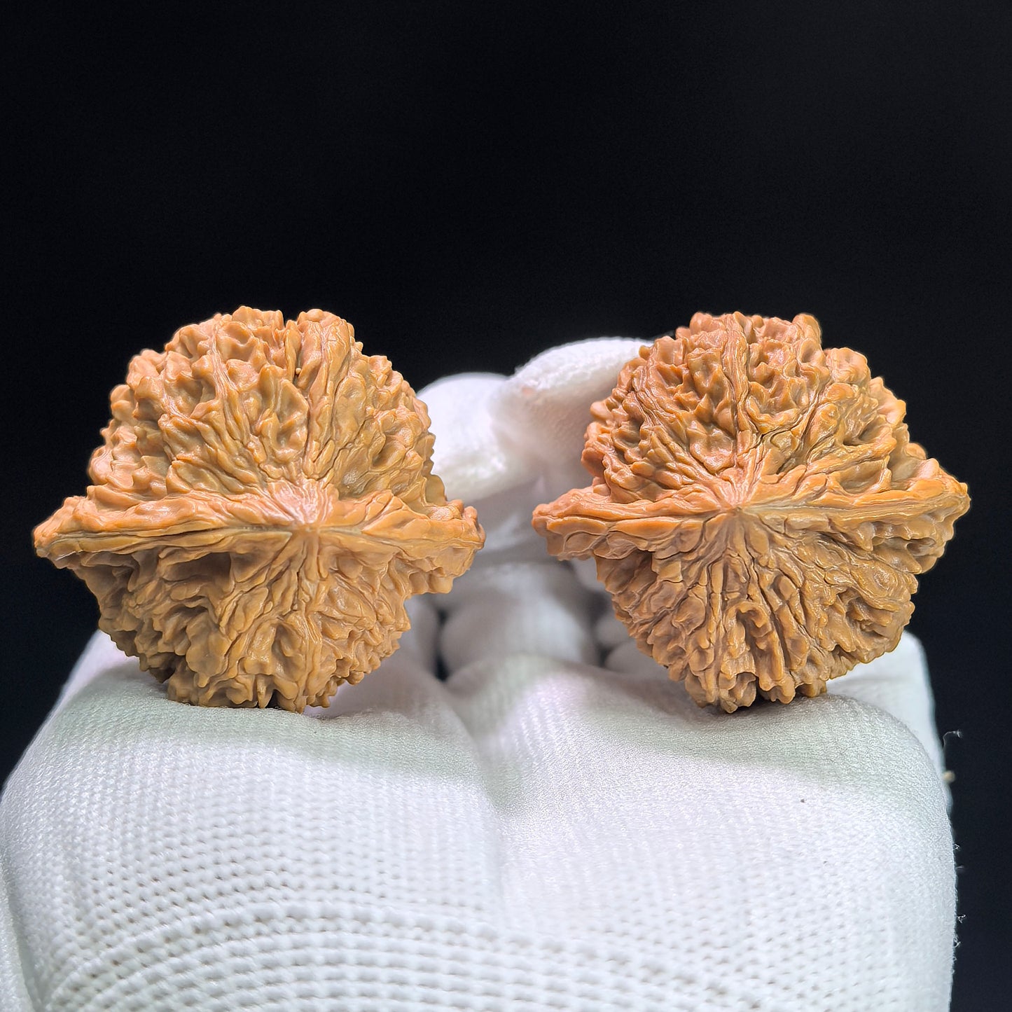 "Concave Base Peach Heart Starry Sky" Taoxin Aodi Mantianxing MTX-1407 Low-Profile Wenwan Walnuts Pair | 40.0mm x 37.0mm | MTX-1407