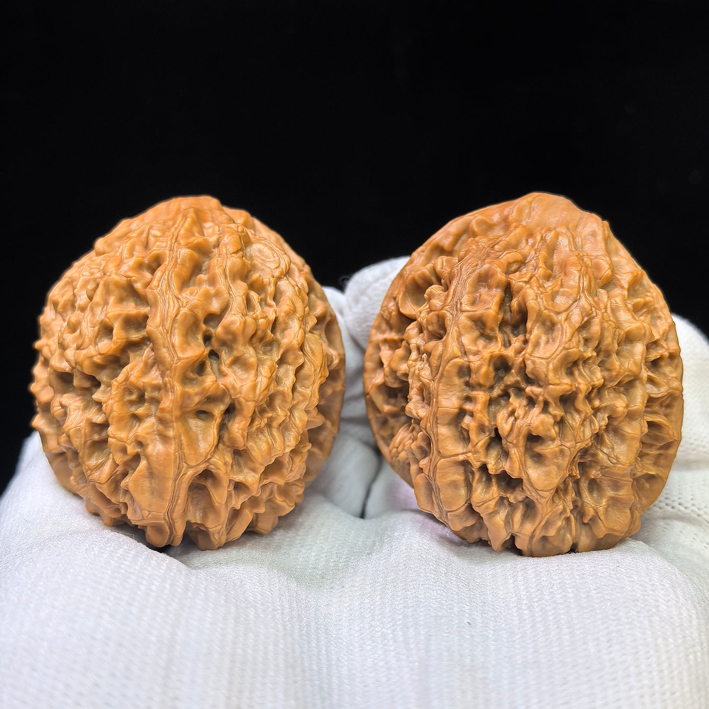 "Official Hat Snake Head" Guanmao Shetiao Wenwan Walnuts Pair | 42.0mm x 32.0mm | GMST-01SY