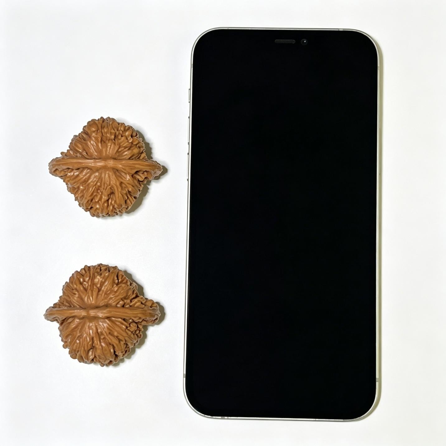 Sizuolou Scholar Walnuts Pair | 41.0mm x 37.0mm | Deep-Belly Format | Stock ID: SZL-1103
