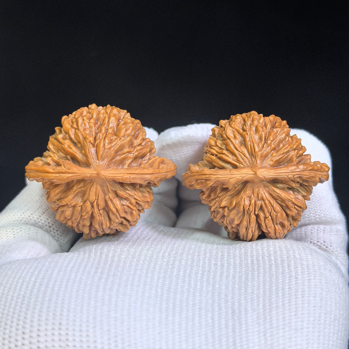 "Han High Tower" Hangao Lou HGL-SY1A3 Low-Profile Wenwan Walnuts Pair | 39.0mm x 34.0mm | HGL-SY1A3