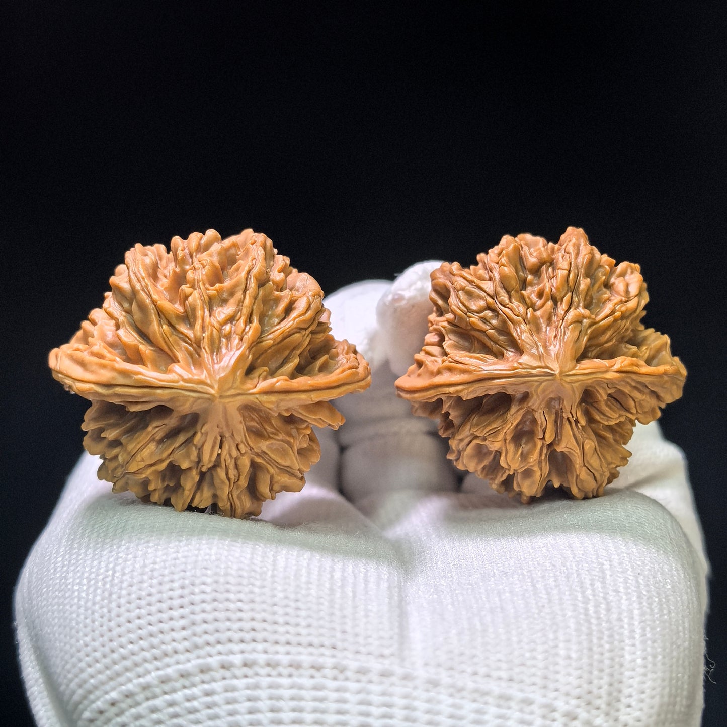 "Sky-Reaching Eight-Ribbed" Tongtianba Wenwan Walnuts Pair | 39.0mm x 36.0mm | TTB-1103