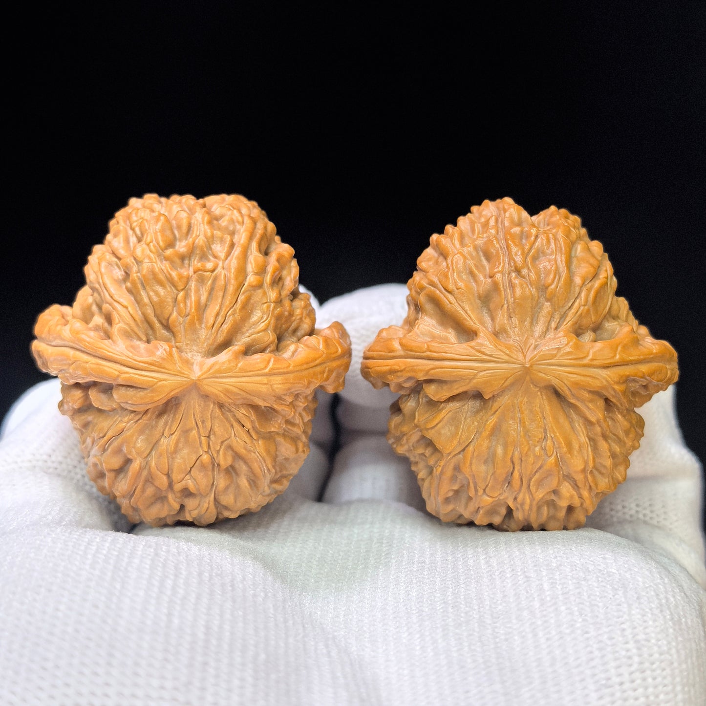 "White Lionhead" Baishizi BSJ-SY1C1 Low-Profile Wenwan Walnuts Pair | 39.0mm x 41.0mm | BSJ-SY1C1