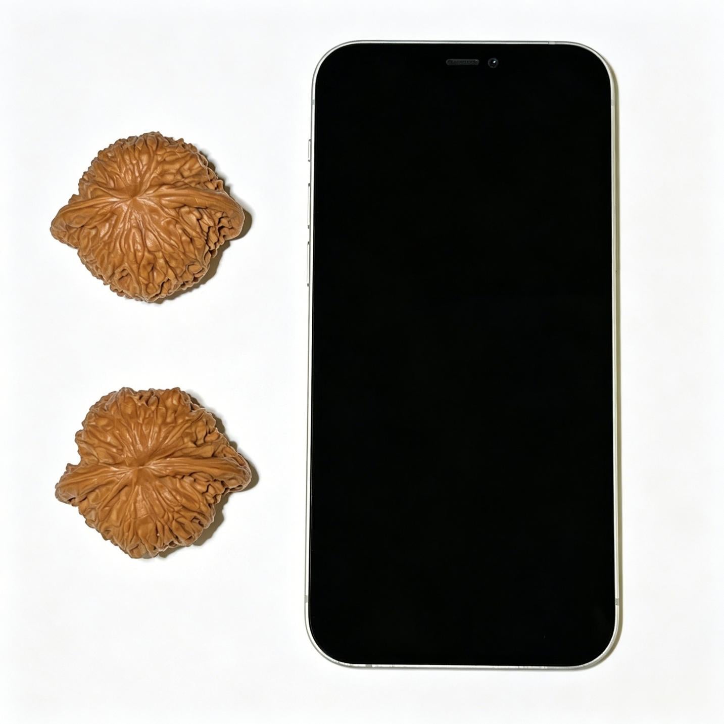 "Wild Millstone" Yesheng Mopan Wenwan Walnuts Pair | 44.0mm x 39.0mm | MP-1113