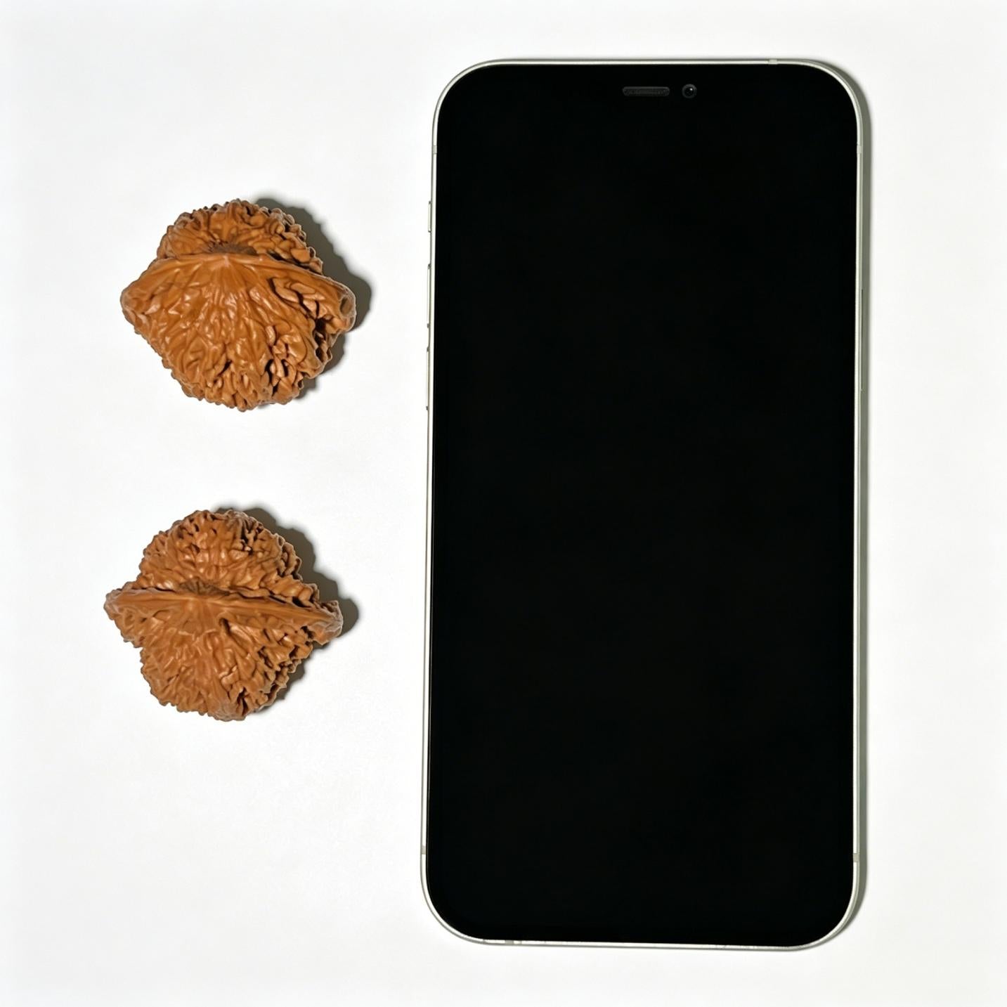 Man Tian Xing (Sky Full of Stars) Scholar Walnuts Pair | 38.0mm x 34.0mm | Stock ID: MTX-1104