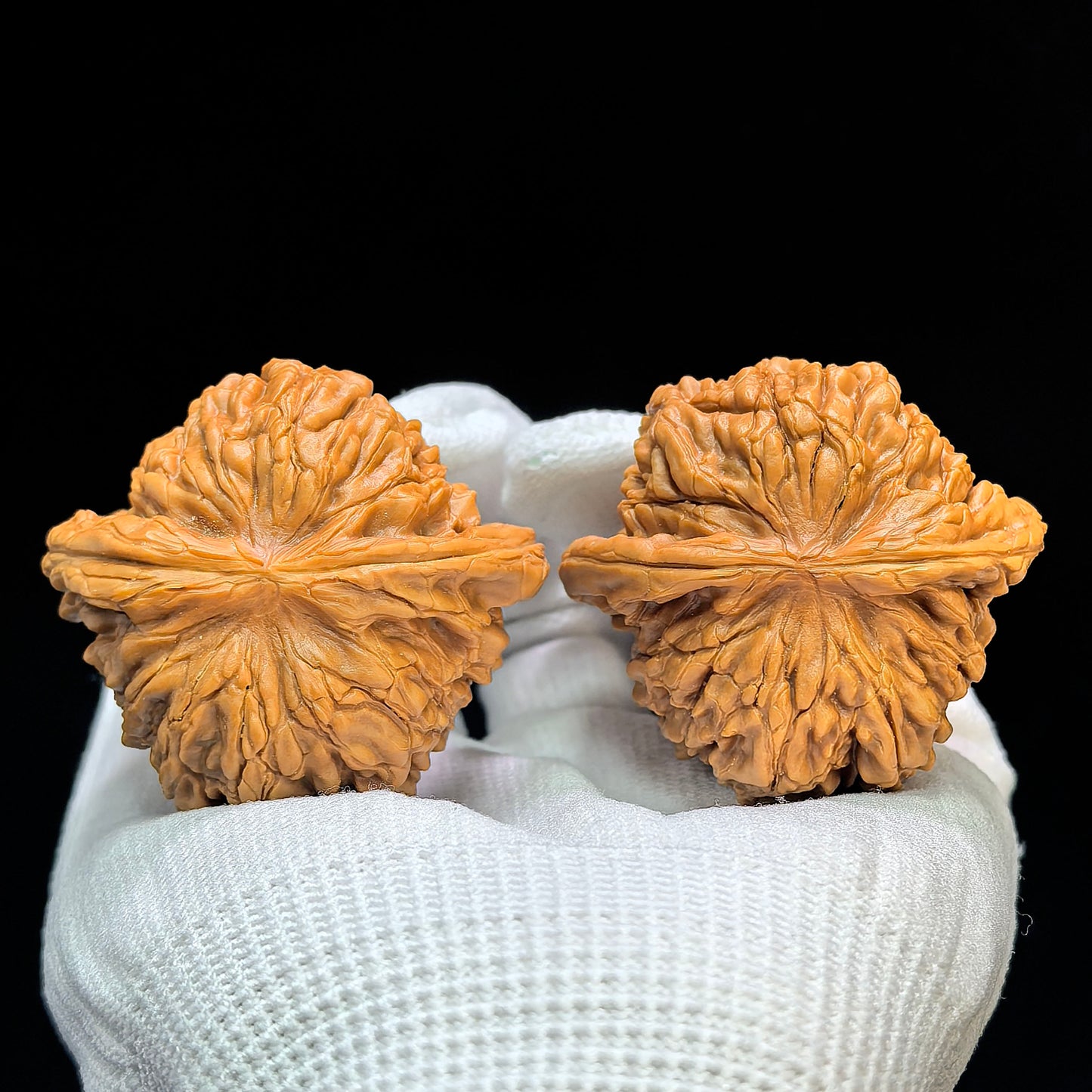 "Butterfly Huakun Dragon" Hudie Huakunlong Low-Profile Wenwan Walnuts Pair | 48.0mm x 46.0mm | HKL-1506C