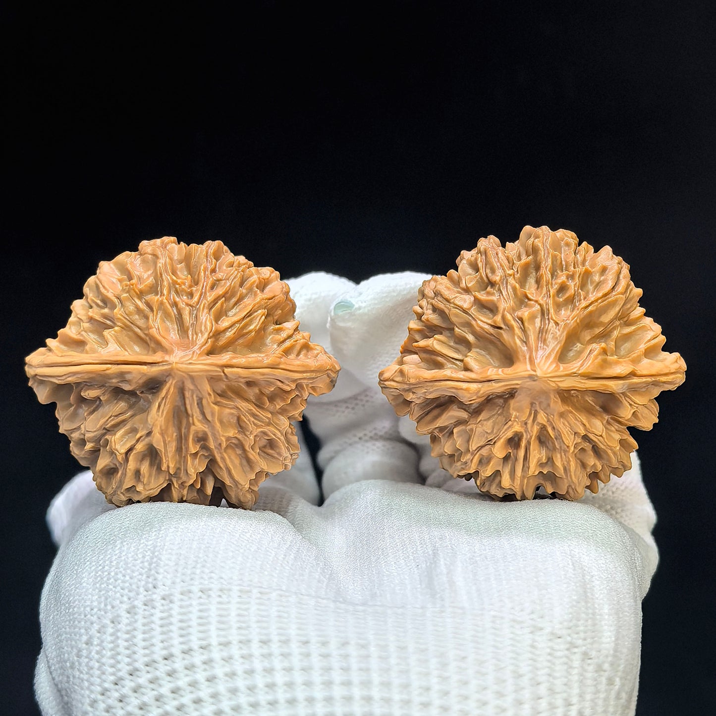 "Lantern Lionhead" Denglong Shizitou Low-Profile Wenwan Walnuts Pair | 45.0mm x 42.0mm | DL-1502C